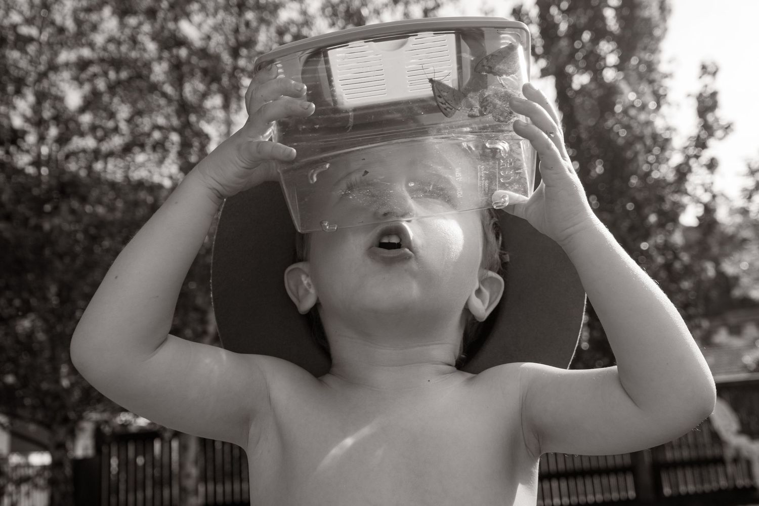 Black and white photo of a child holding a clear container with butterflies in it above its head outdoors.