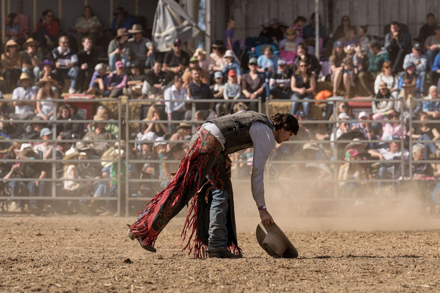 Rodeo cowboy in chaps bending down to pick up hat from dusty arena floor with crowd watching.