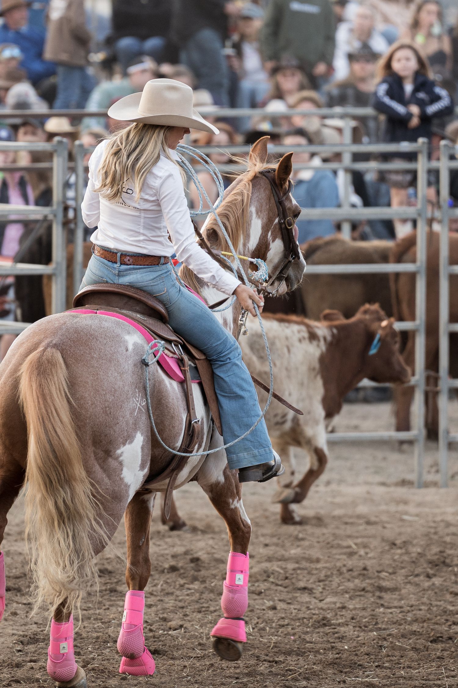 Female barrel racer in white shirt on roan horse with pink boots competing in rodeo arena.