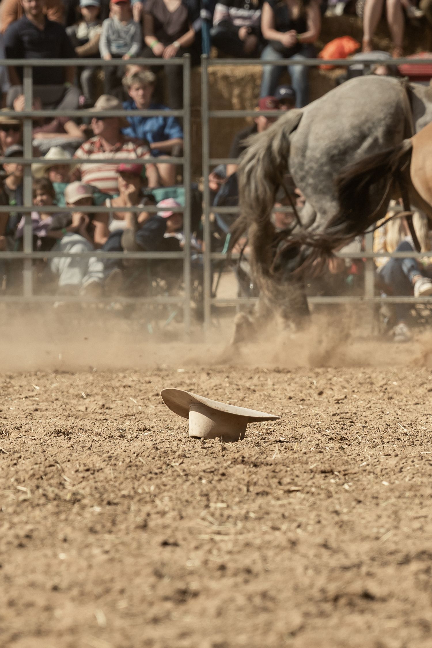 Cowboy hat lying in dirt at rodeo arena as grey horse bucks in dusty background with spectators.