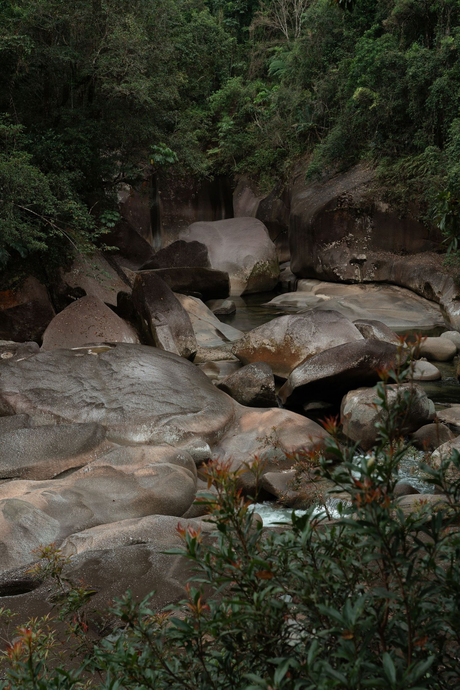 Rocky river gorge surrounded by lush green tropical forest vegetation.