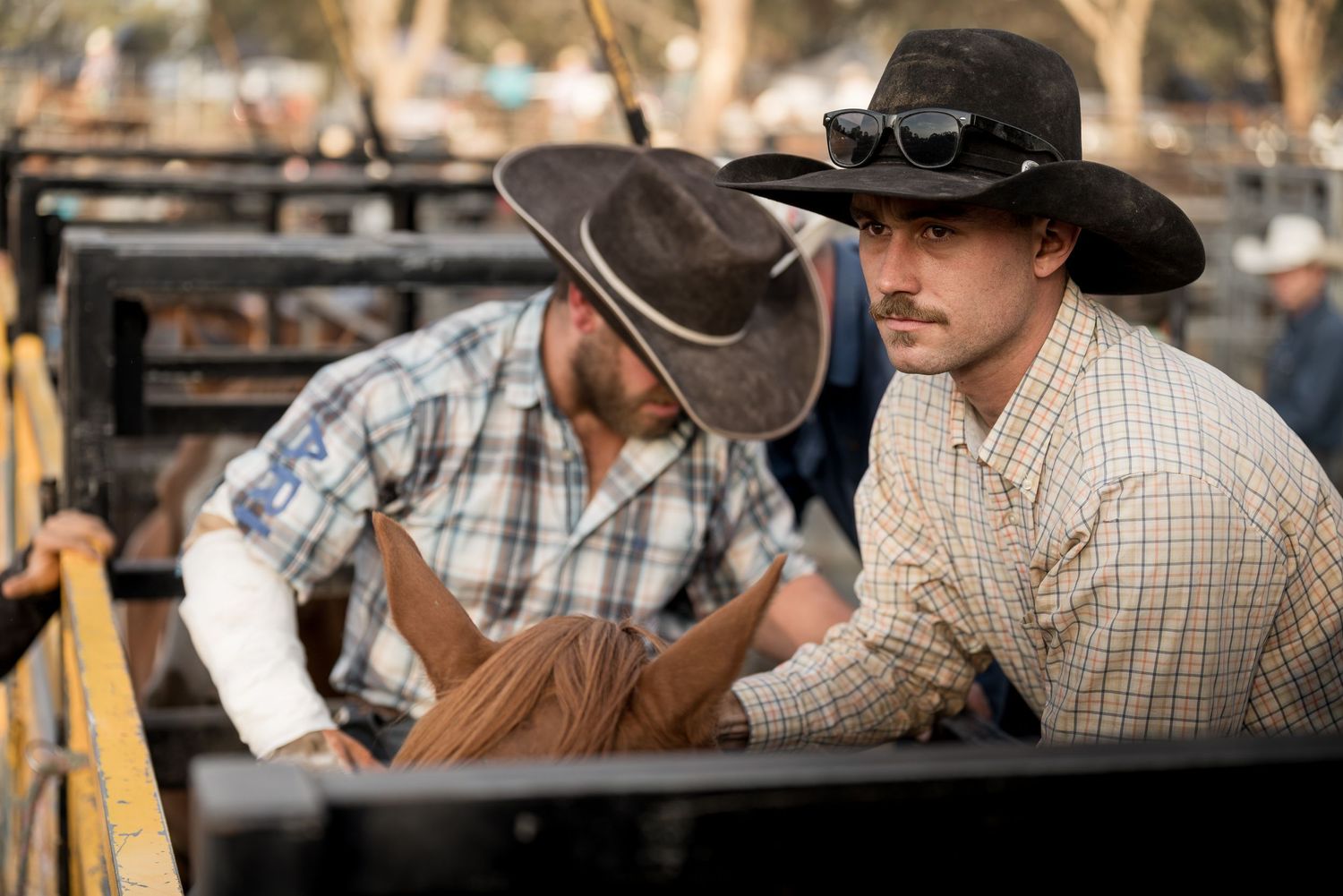 Two cowboys in plaid shirts leaning over a wooden chute examining a bull at a rodeo.