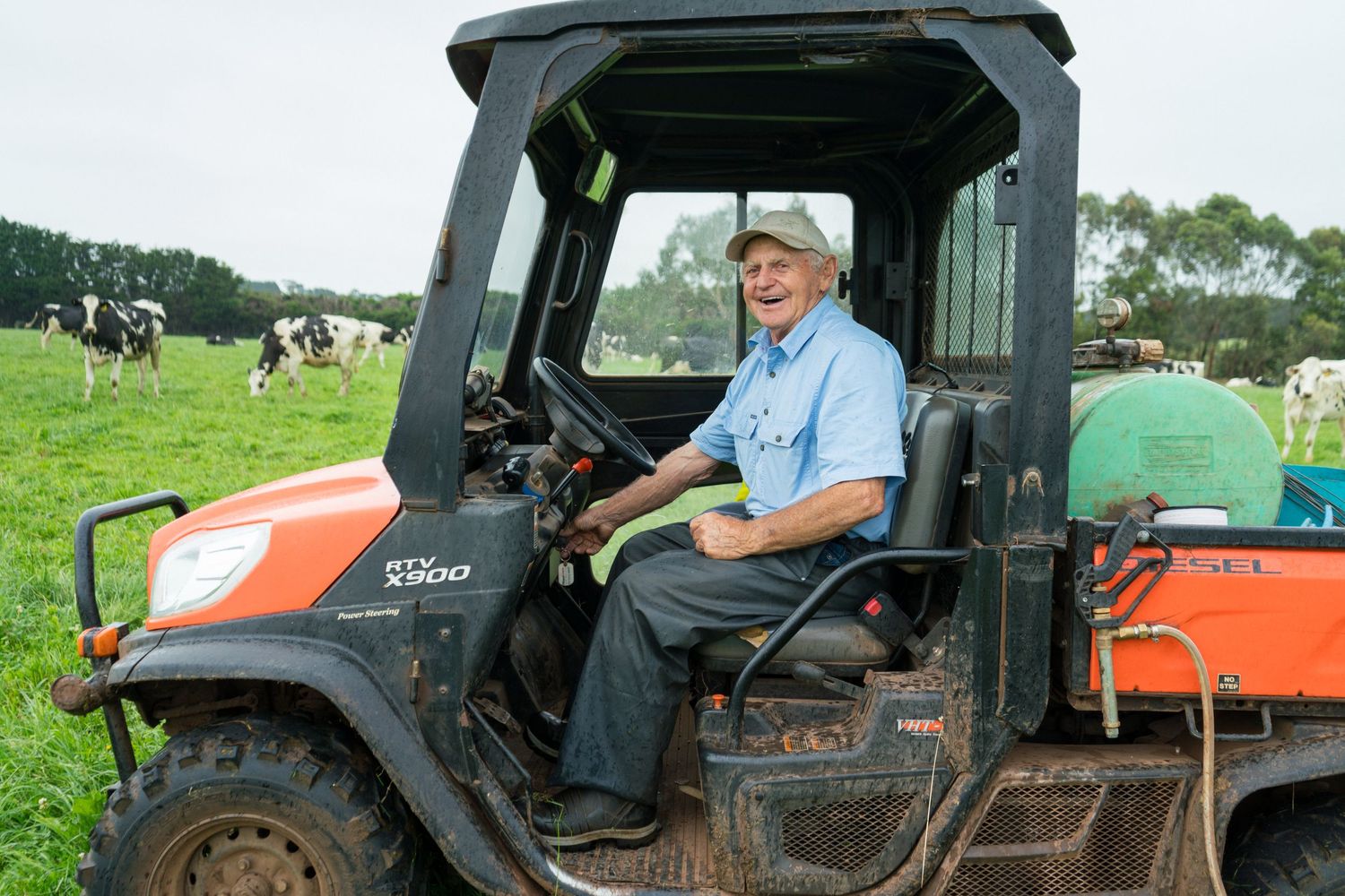 Elderly man driving orange Kubota tractor on green farm with dairy cows grazing in background.