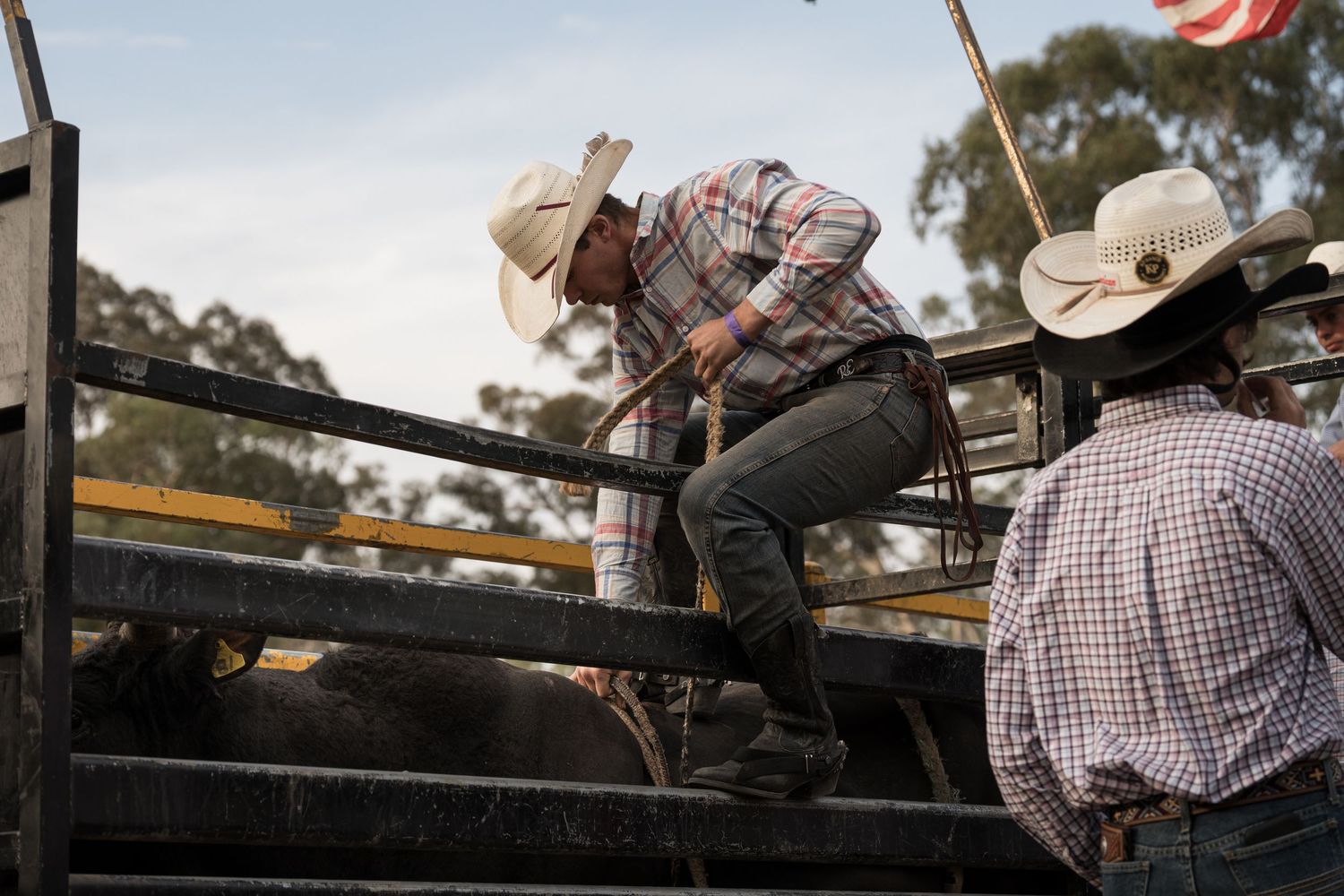 Cowboy in plaid shirt climbing over wooden bull chute fence at a rodeo event.