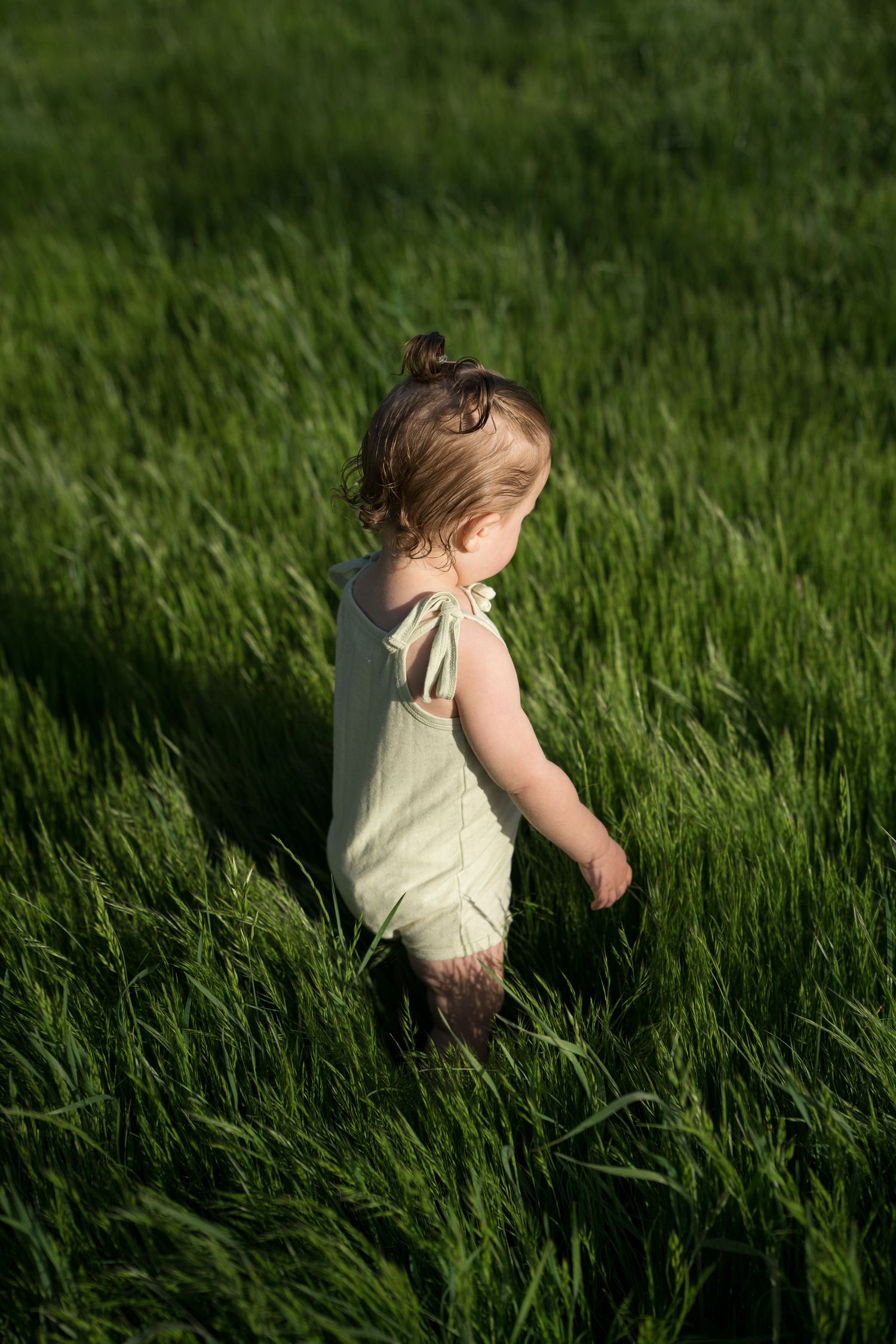 Young toddler in sage green romper walks through lush tall green grass in sunlight.