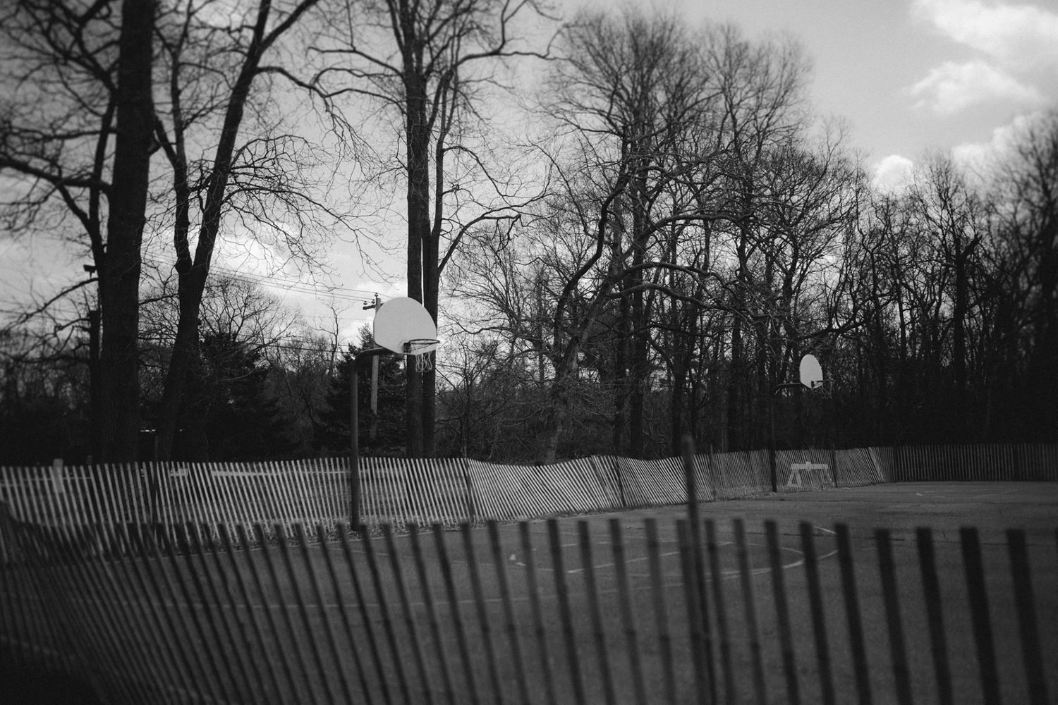 A black and white landscape with bare trees behind a wooden fence.