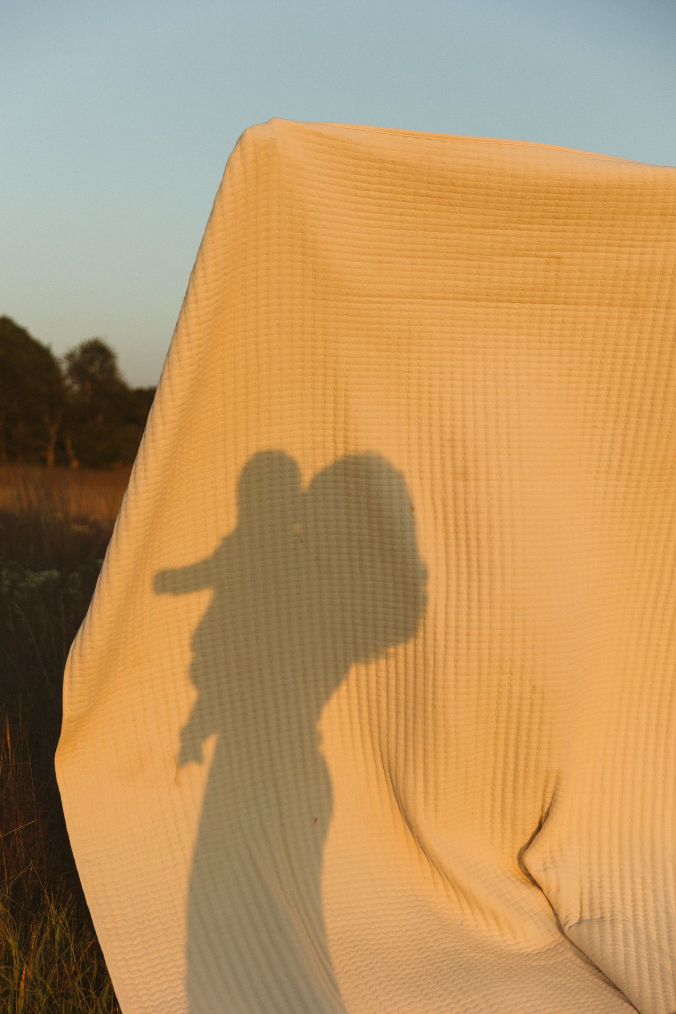 Shadow silhouettes cast on a peach-colored blanket during golden hour.