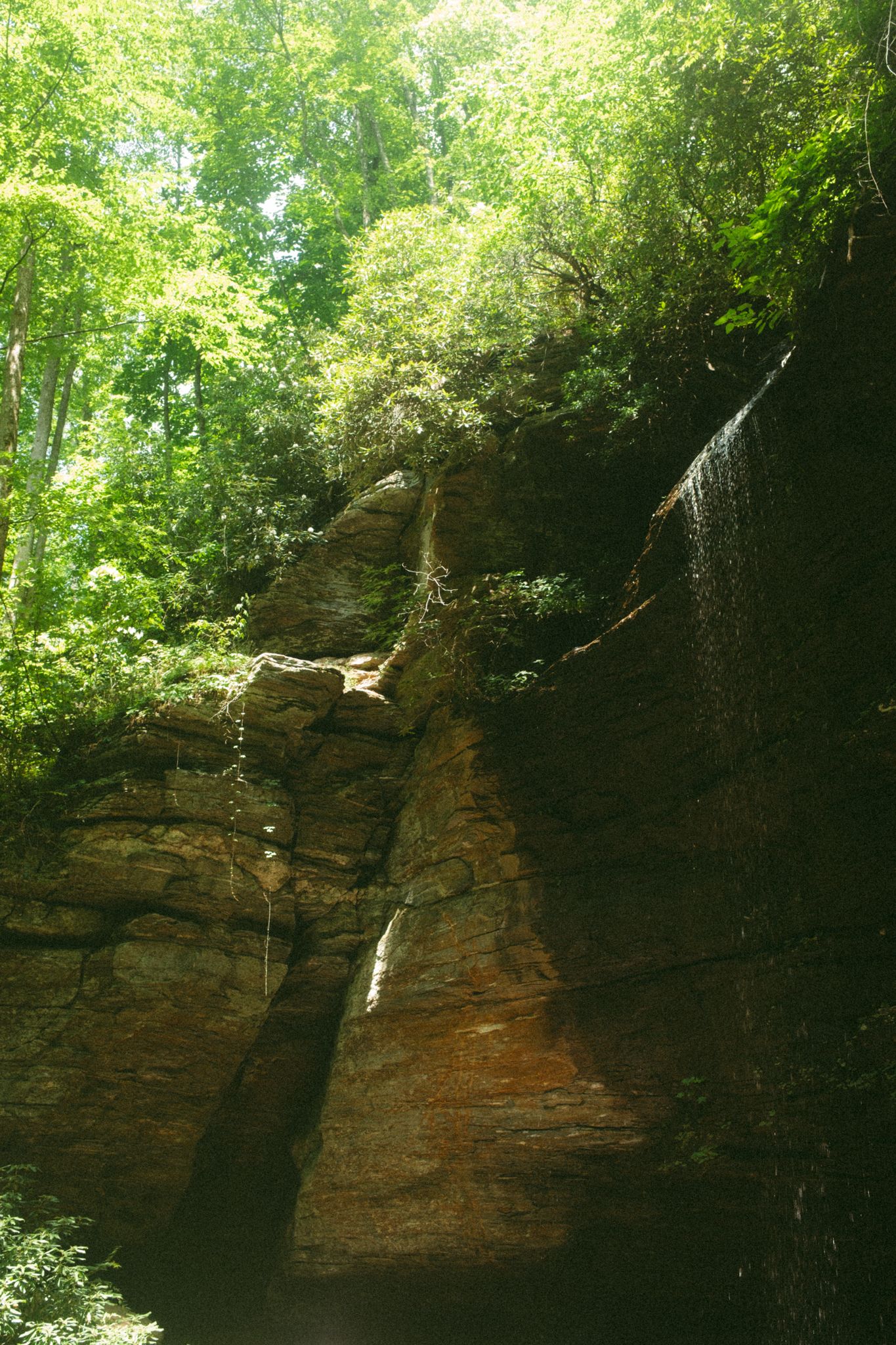Sunlit sandstone rock formation with a small waterfall cascading down layered cliffs surrounded by lush green forest trees.