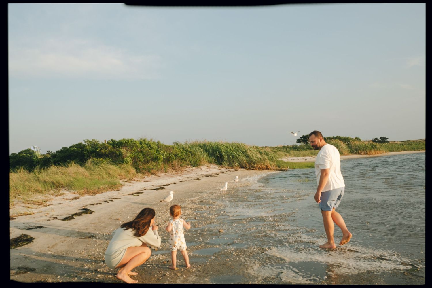 Young family playing together at the water's edge on a sandy beach with green dunes in the background.