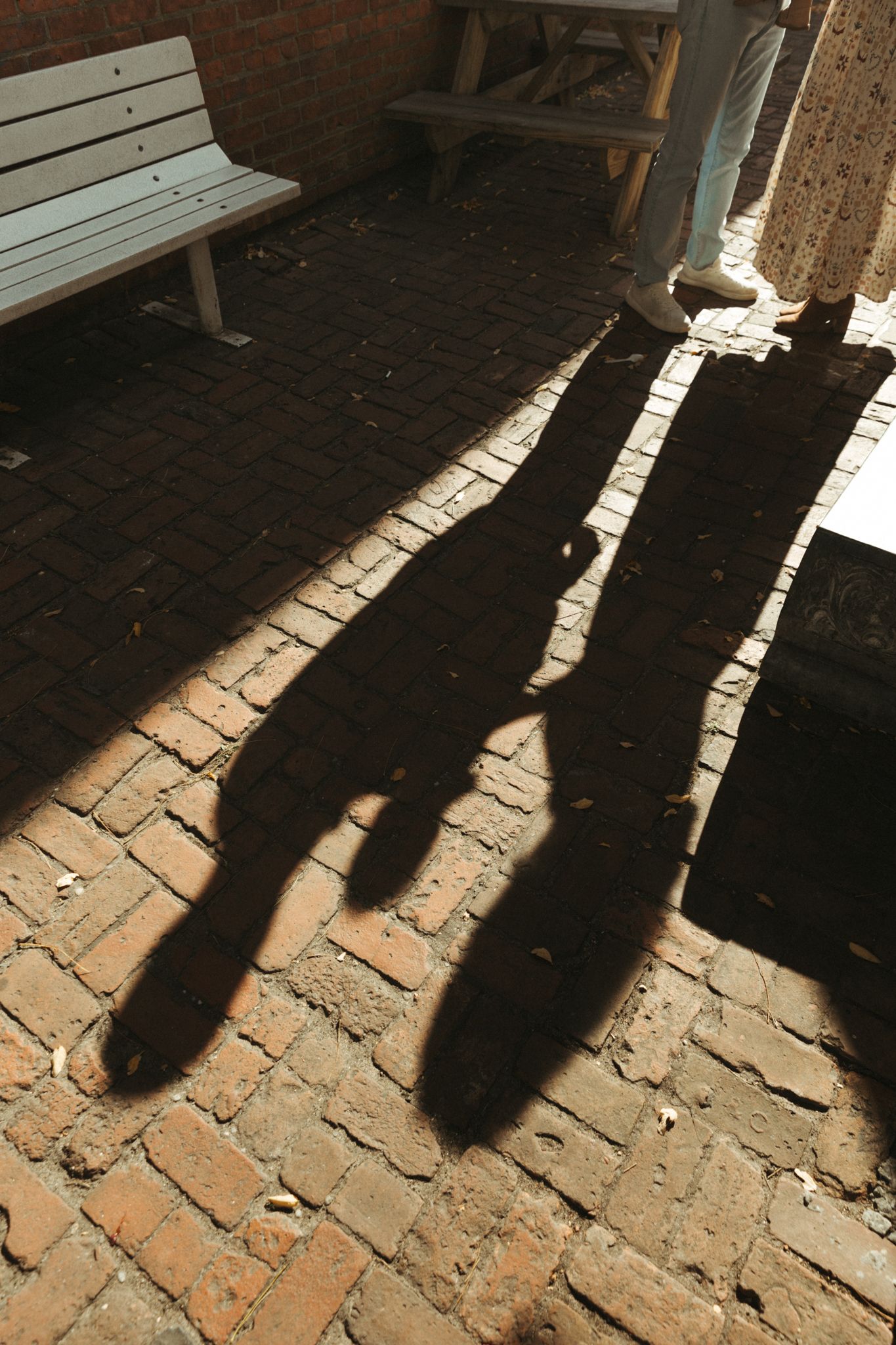 Long shadows cast on brick pavement create dramatic diagonal patterns in natural sunlight.