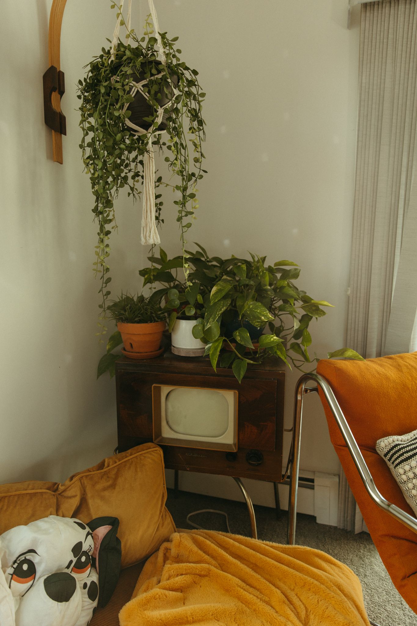 Cozy living room corner with orange couch, hanging plants, and wooden side table.