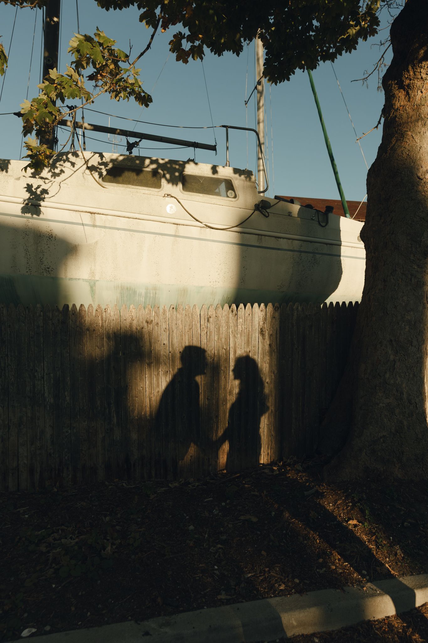 Silhouettes of trees and fence casting shadows against a white wall at sunset.