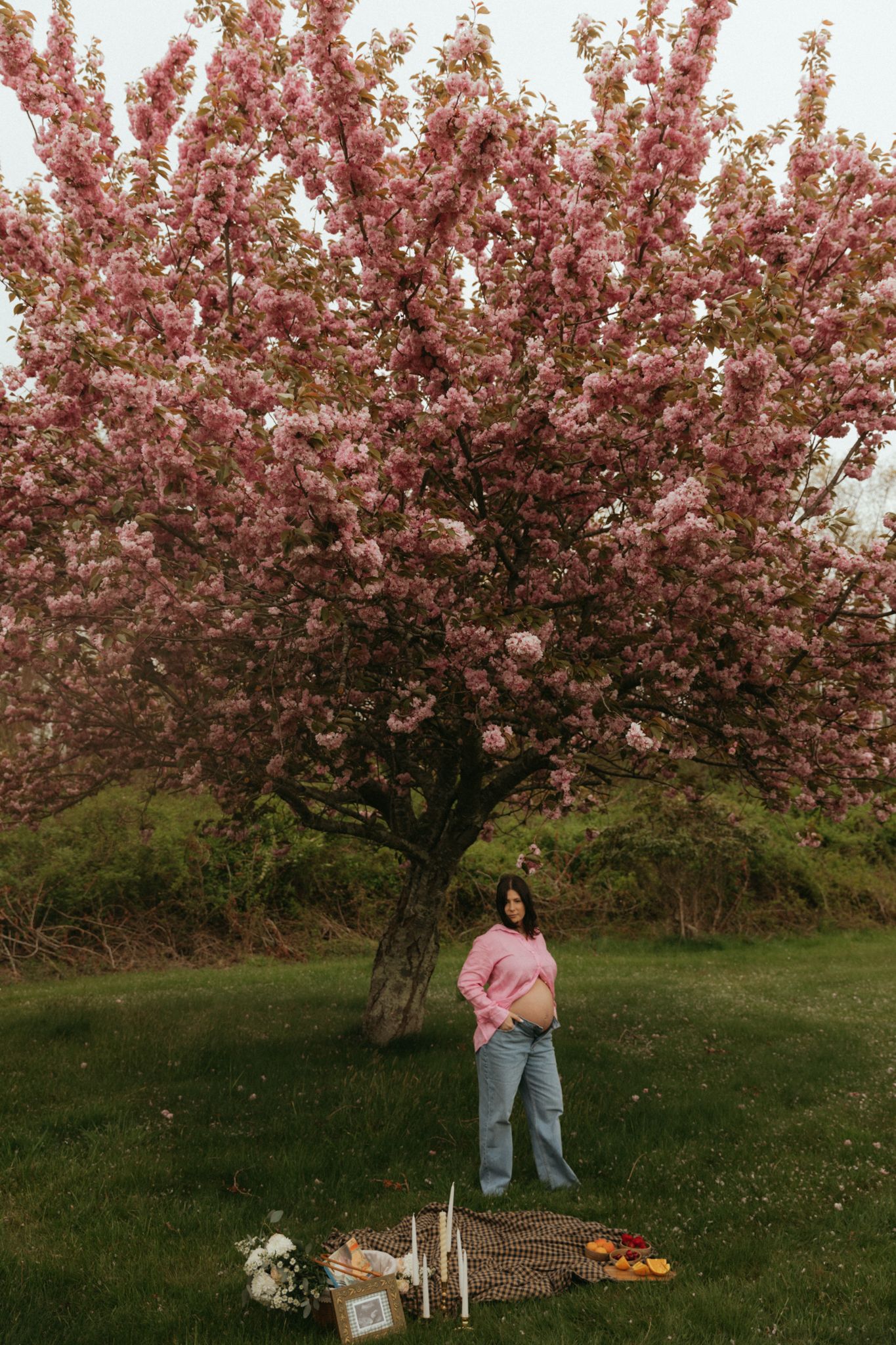 Cherry blossom trees in full bloom with a romantic picnic setup beneath the pink flowers.
