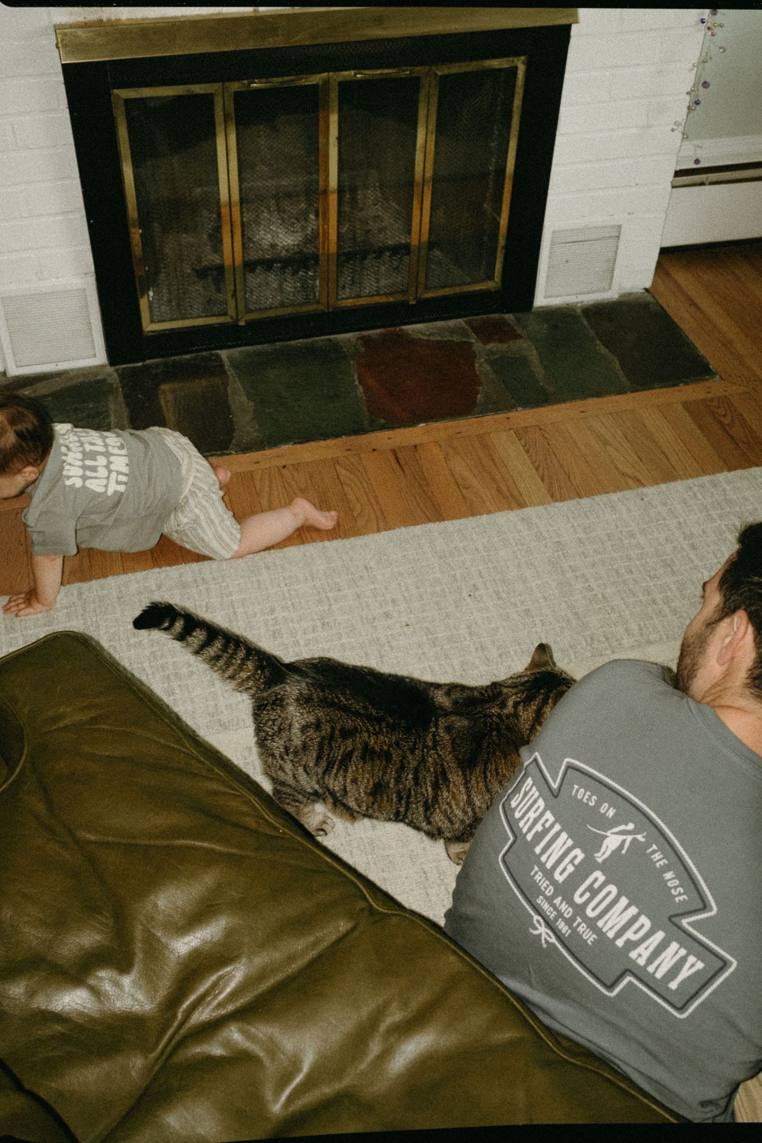 Tabby cat lounges on carpet next to person wearing gray sweatshirt.