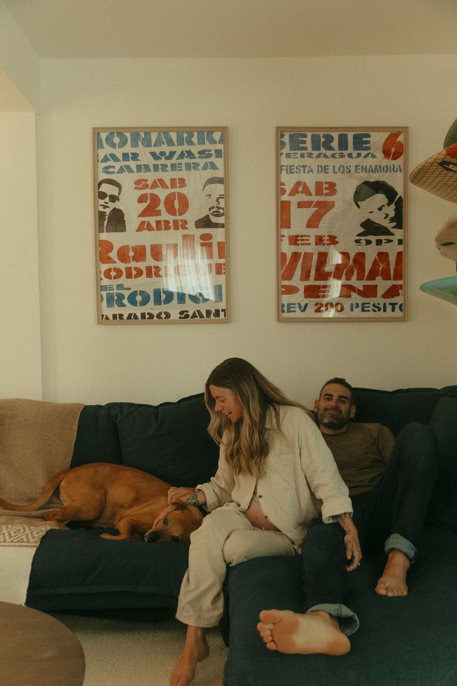Living room scene with brown dog lounging on dark couch beneath retro concert posters.