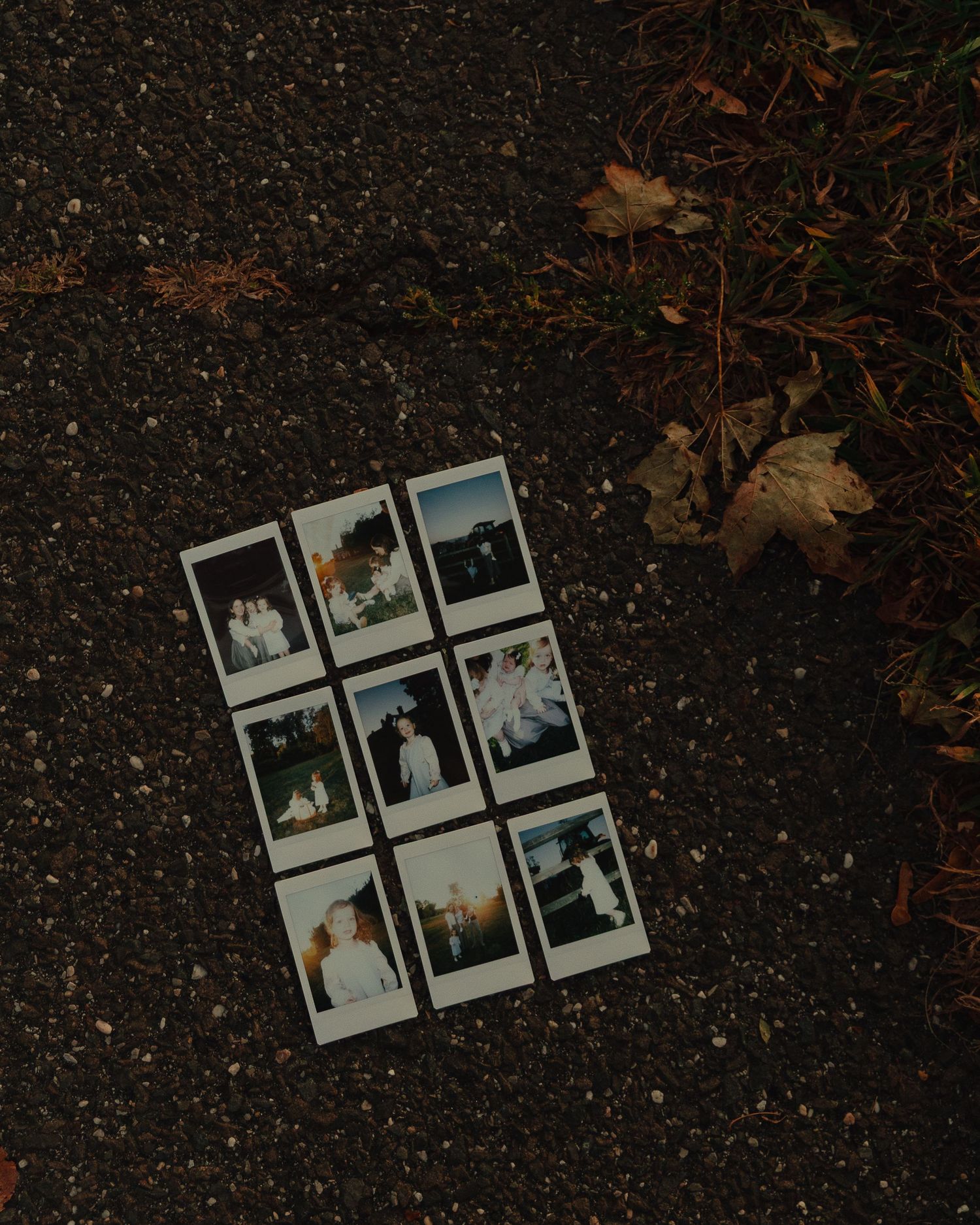 Nine Polaroid photos arranged in grid pattern on dark asphalt surrounded by fallen autumn leaves.