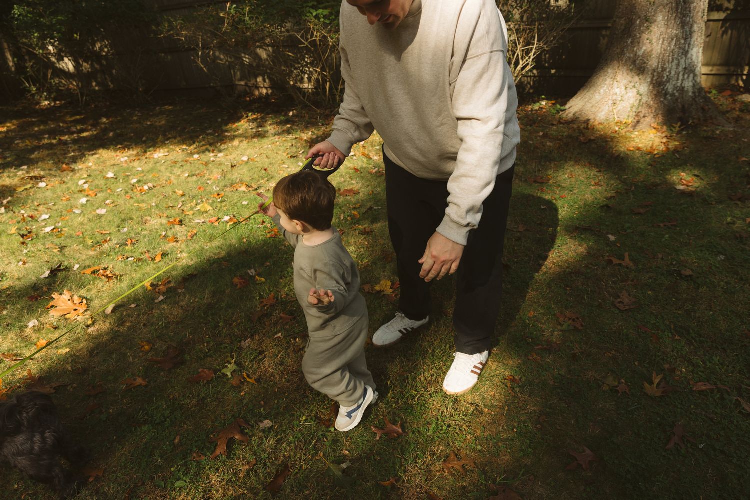 Adult and toddler walking hand-in-hand on green grass in a sunlit forest park during autumn.