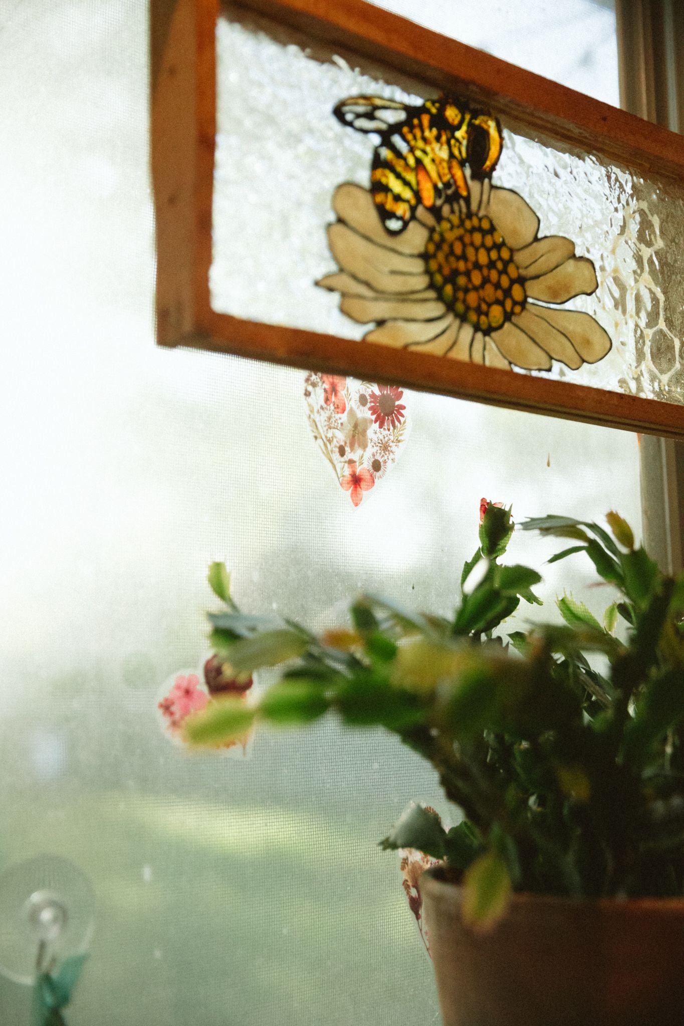 Decorative butterfly stickers adorn a frosted window with potted plants on the windowsill.