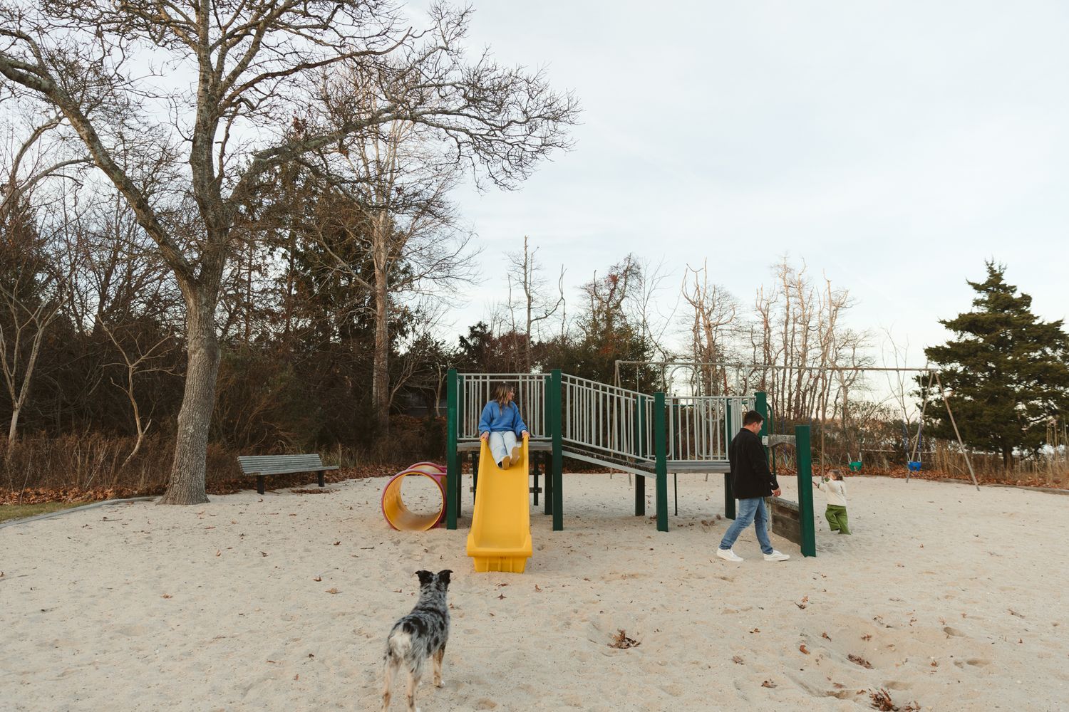 Winter beach scene with playground equipment and bare trees.