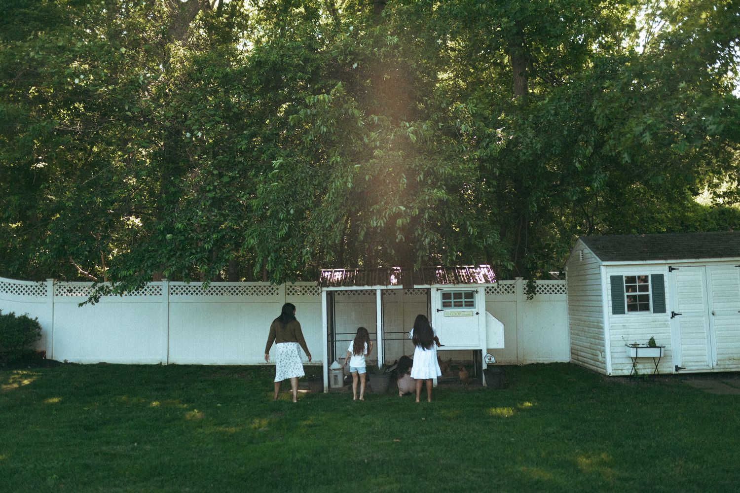Panoramic view of white houses and trees in a residential neighborhood.