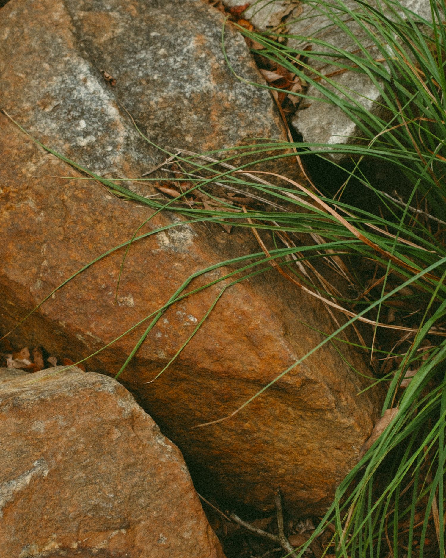 Close-up of rustic orange-brown granite rocks with green grass blades growing between them in a natural outdoor setting.