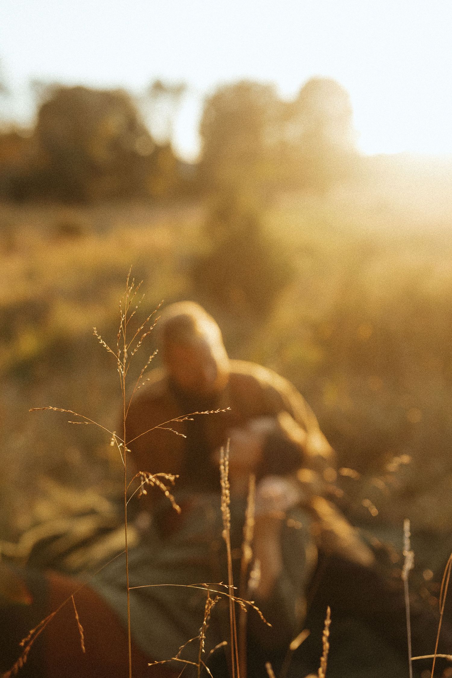 A blurred couple sits in a golden sunlit field with a sharp grass stem in the foreground at sunset.