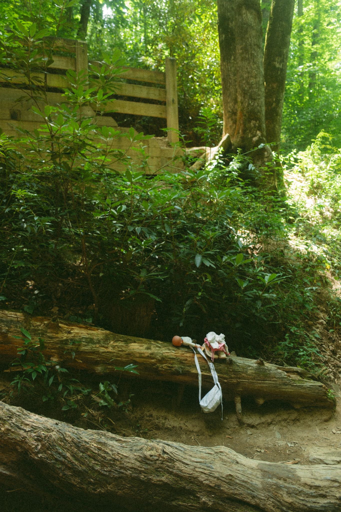 A white bag rests on a fallen log in a lush green forest trail with wooden steps in the background.