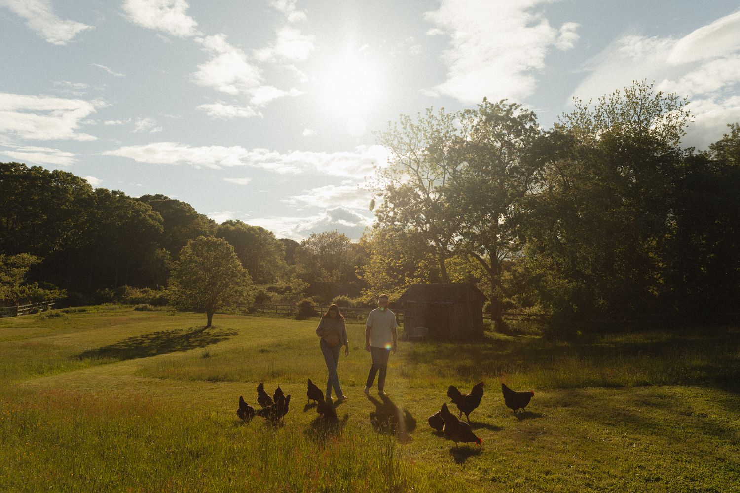 Two people walk through a sunny green meadow surrounded by trees with free-range chickens roaming nearby.