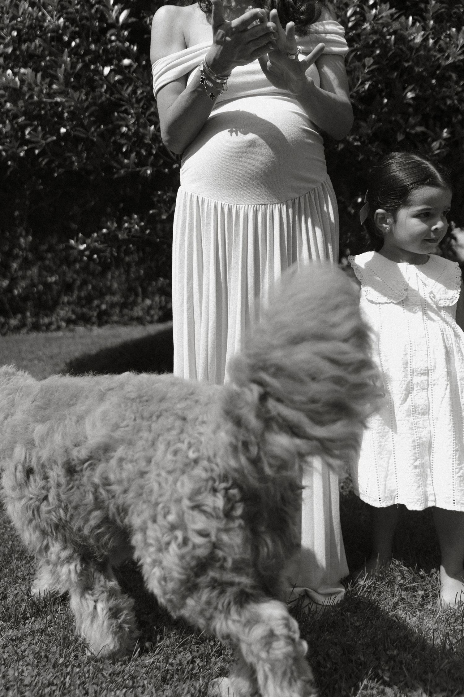 Outdoor sequence featuring a fluffy dog against a leafy background.