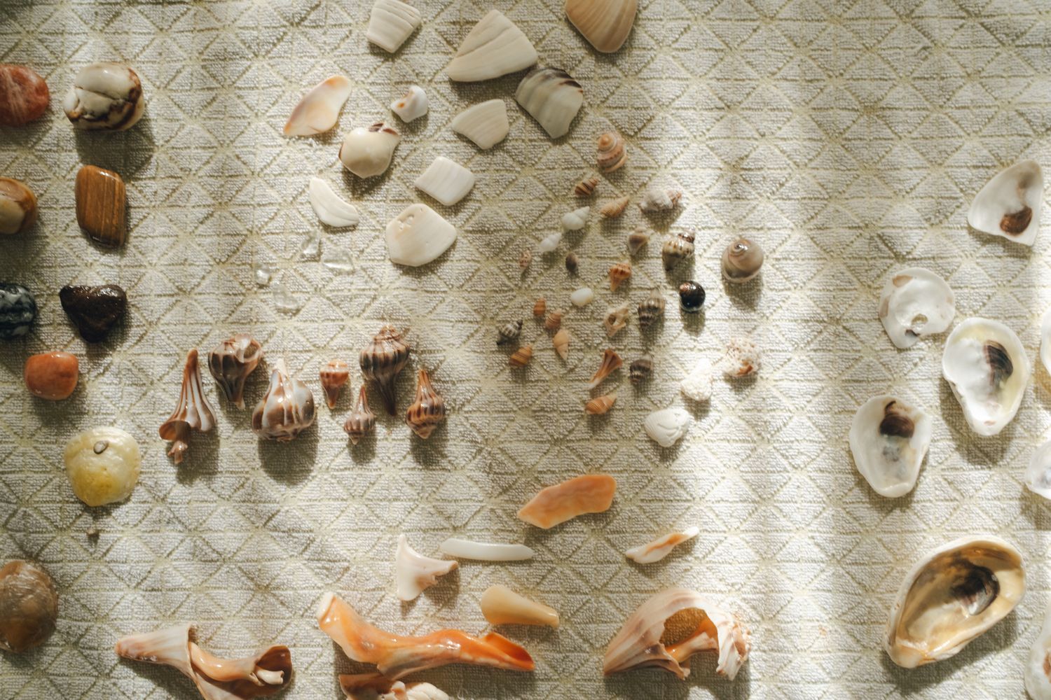 A collection of small ceramic pottery shards and artifacts displayed on a light gray surface in a museum setting.