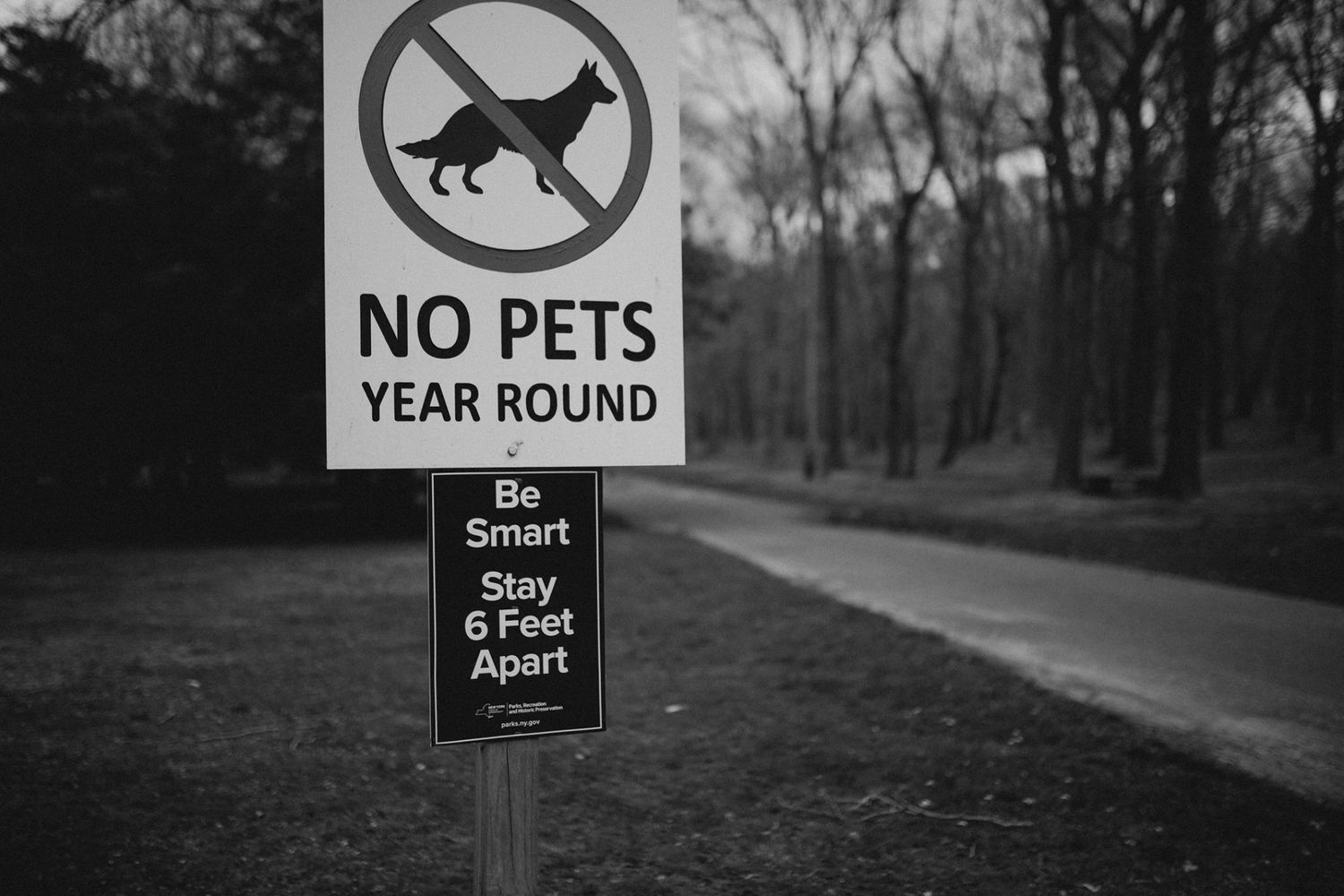 A black and white photo of a 'No Pets Year Round' sign posted in a wooded area.