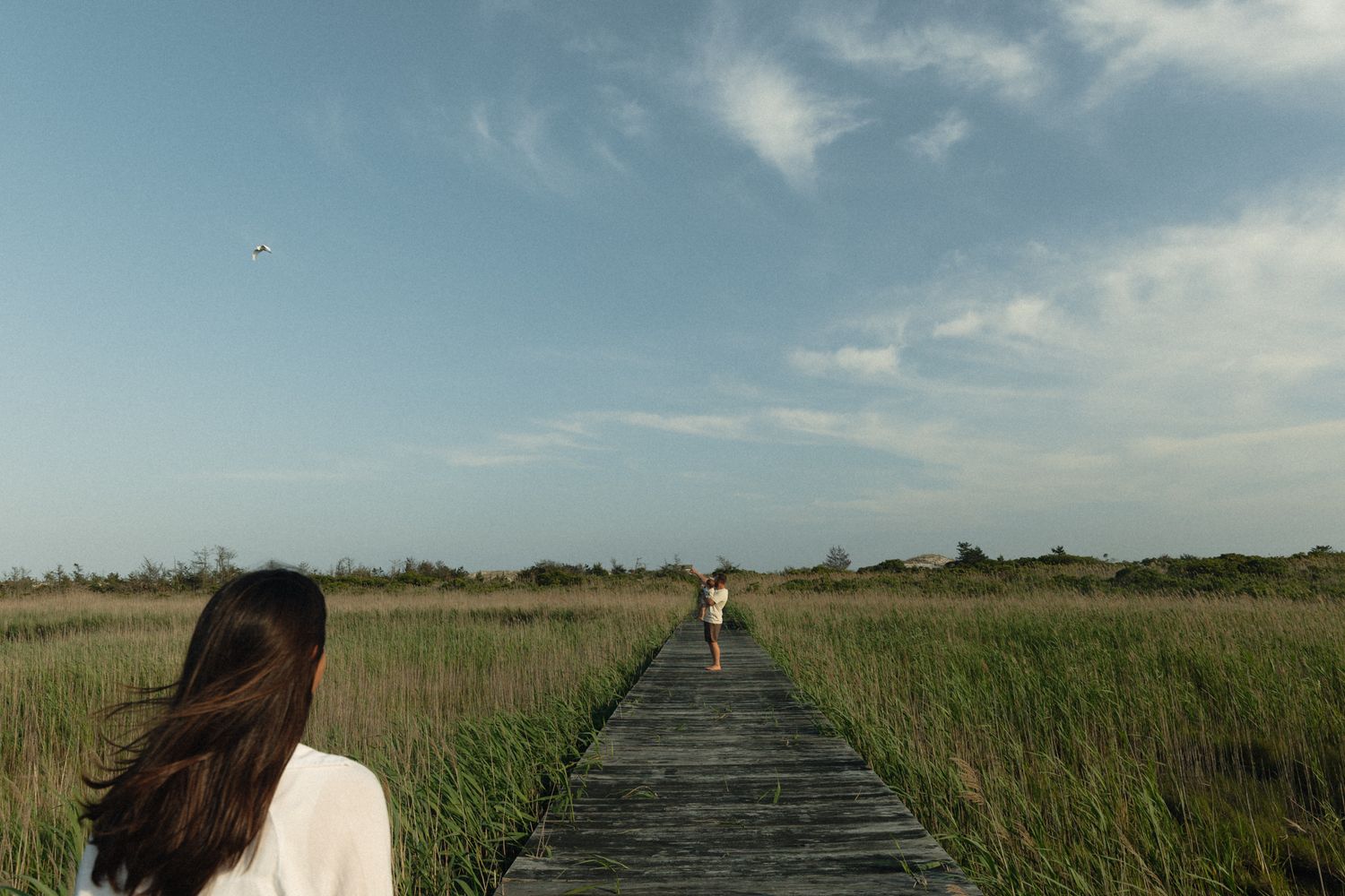 Wooden boardwalk path stretches through tall marsh grass under blue summer sky.