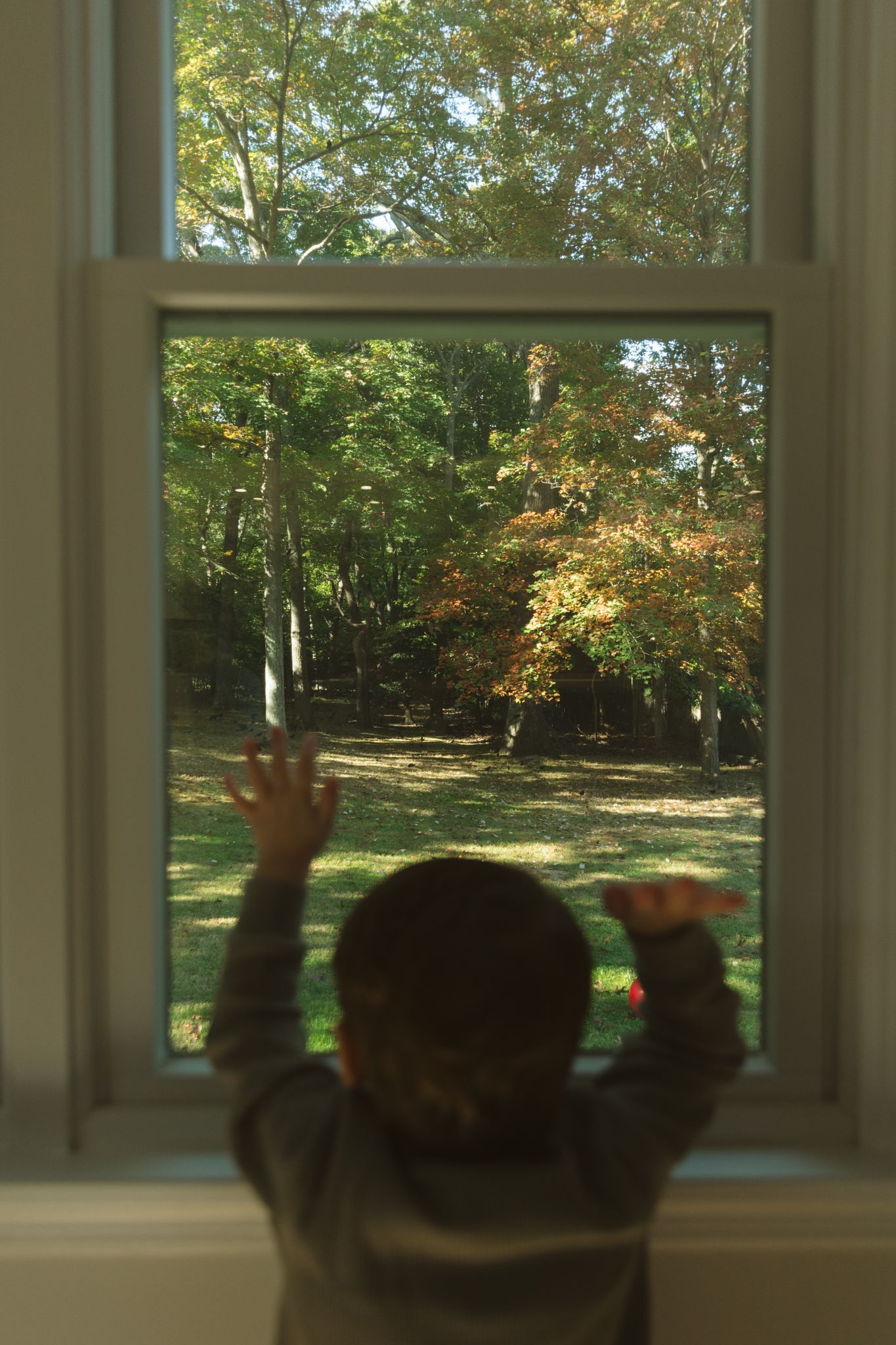 Young child standing at a window looking out at autumn trees in a backyard.