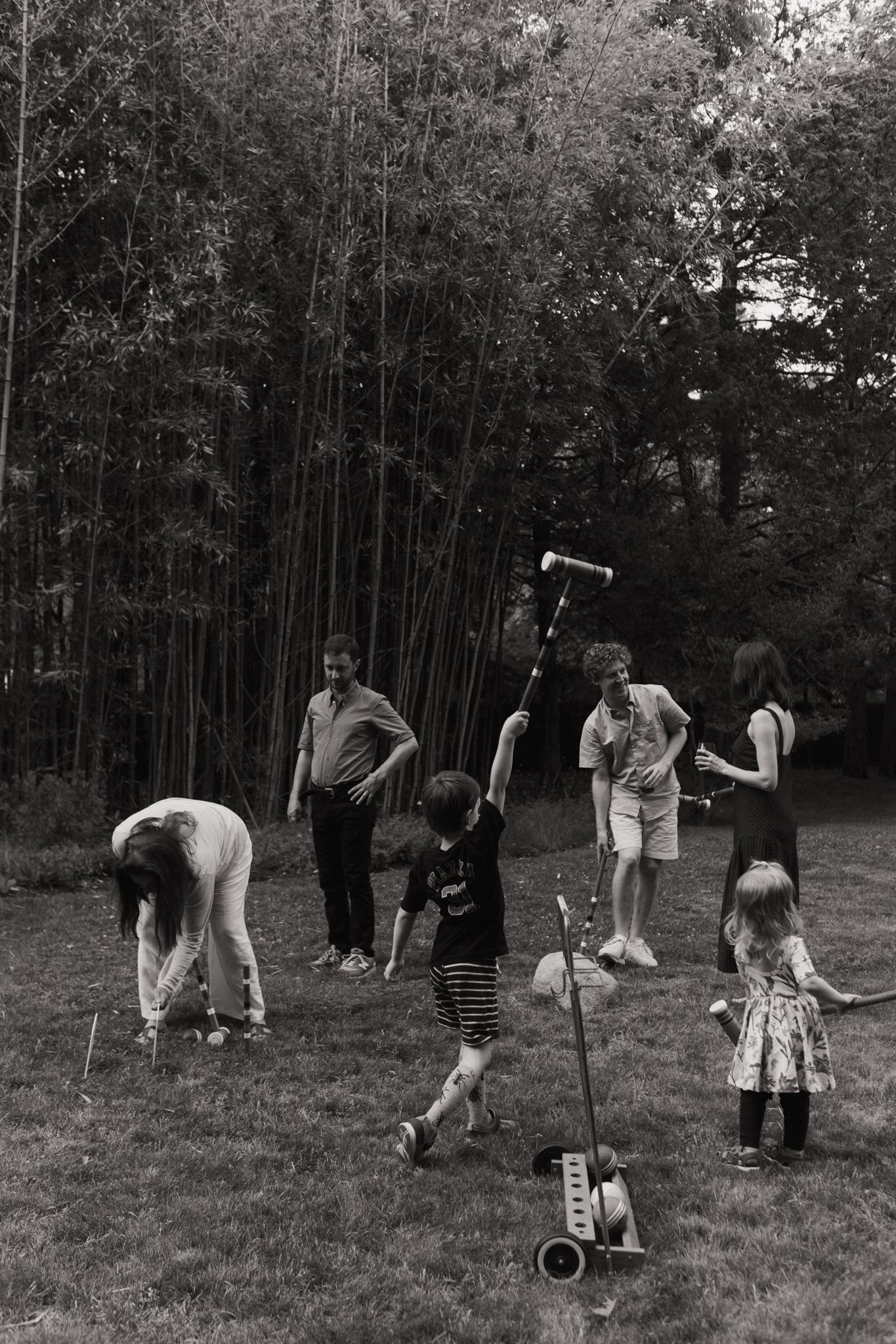 Group playing croquet on a grassy lawn surrounded by trees.