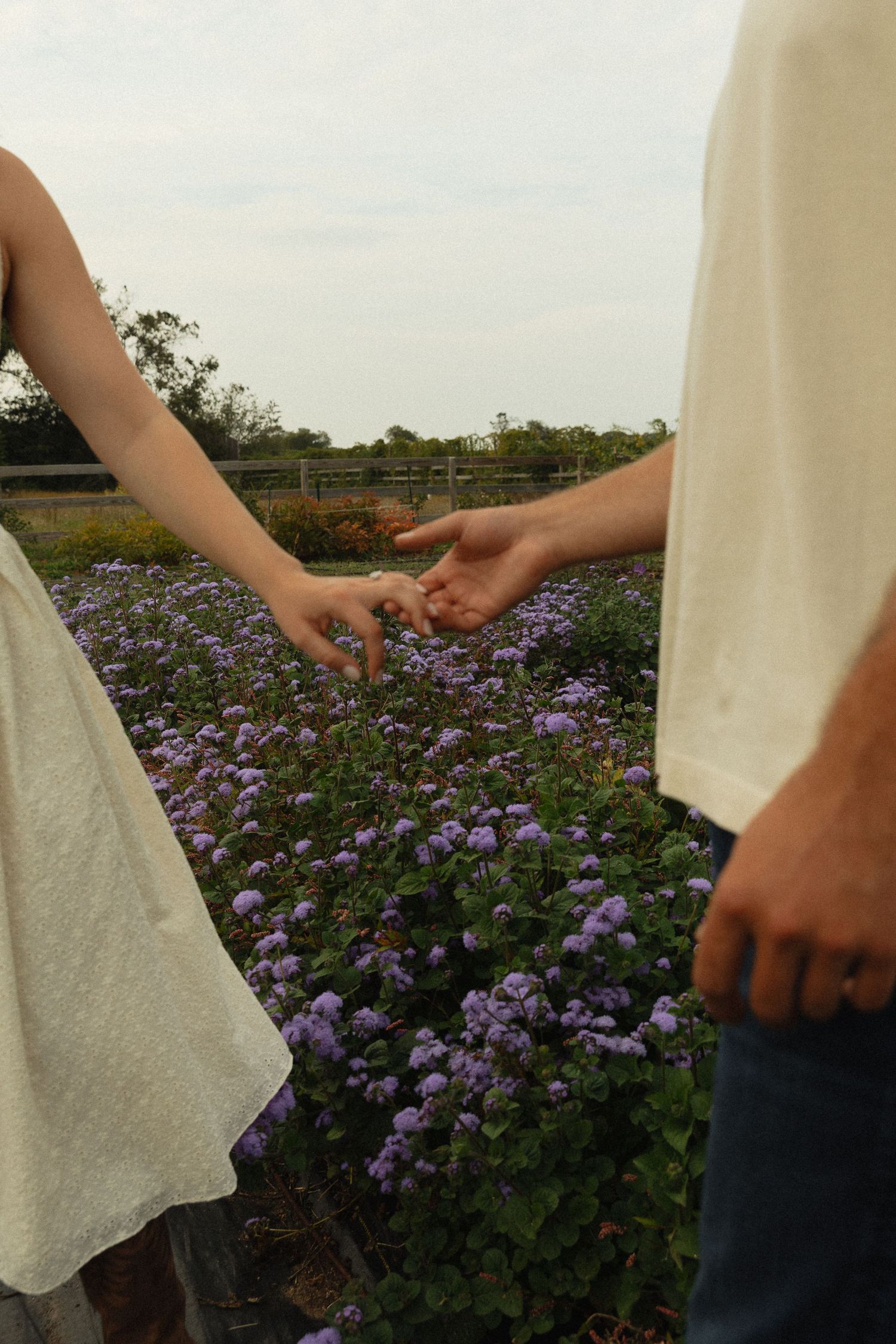 Couple reaching for each other's hands in a purple flower garden during golden hour.