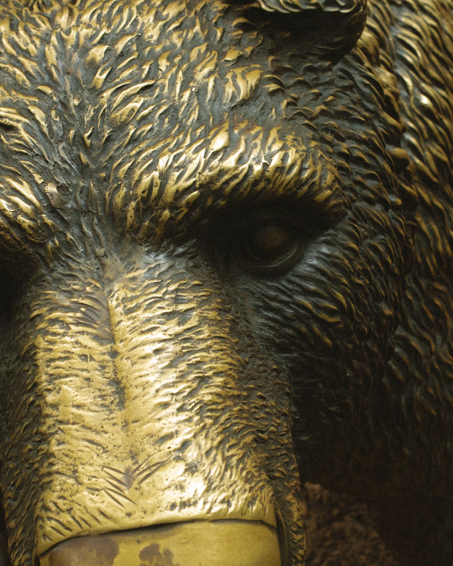 Close-up of a detailed golden bronze bear sculpture showcasing intricate fur texture and a realistic eye.
