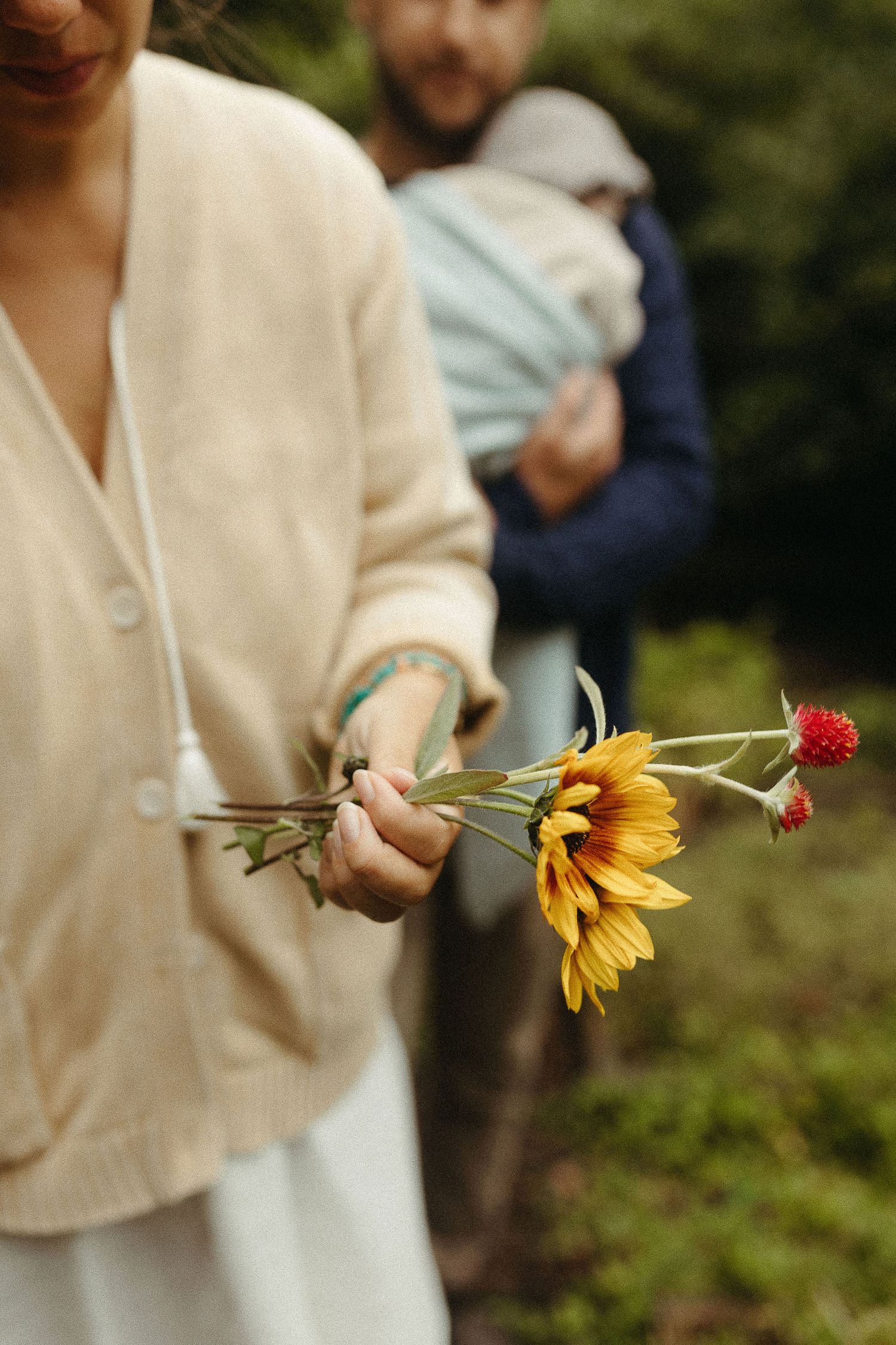 Hand holding sunflower and red flower against blurred natural background.