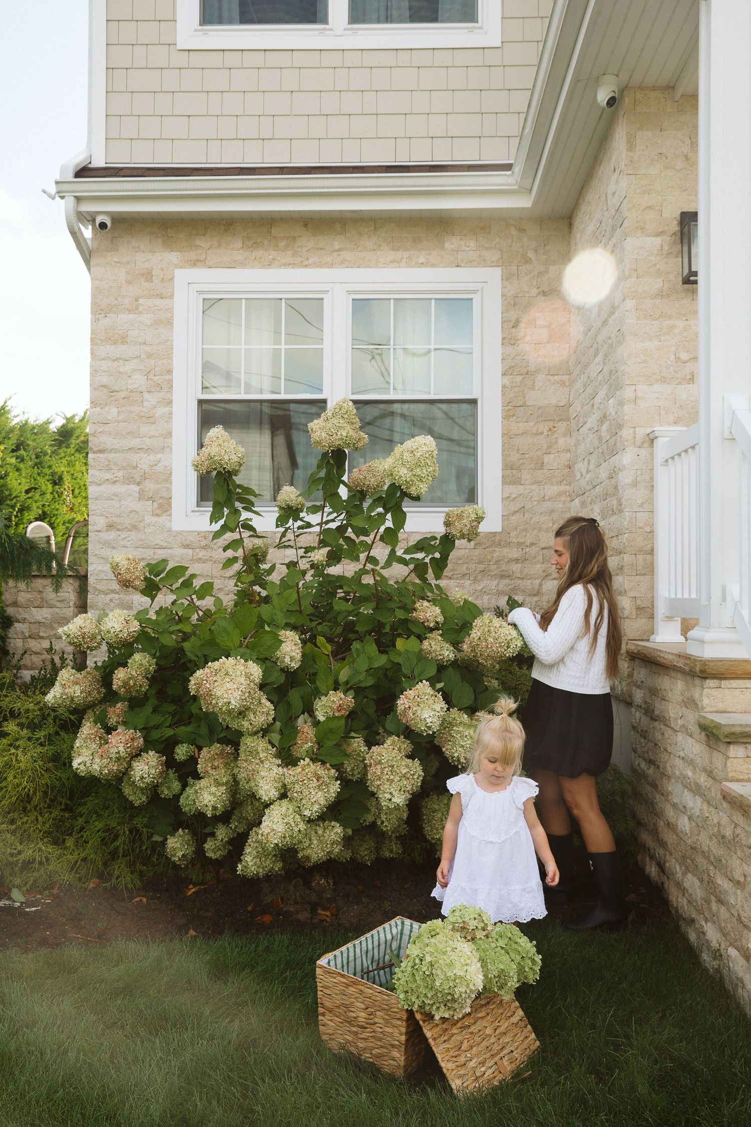 Woman and toddler girl in white dress tending to blooming hydrangea bushes outside a stone house.