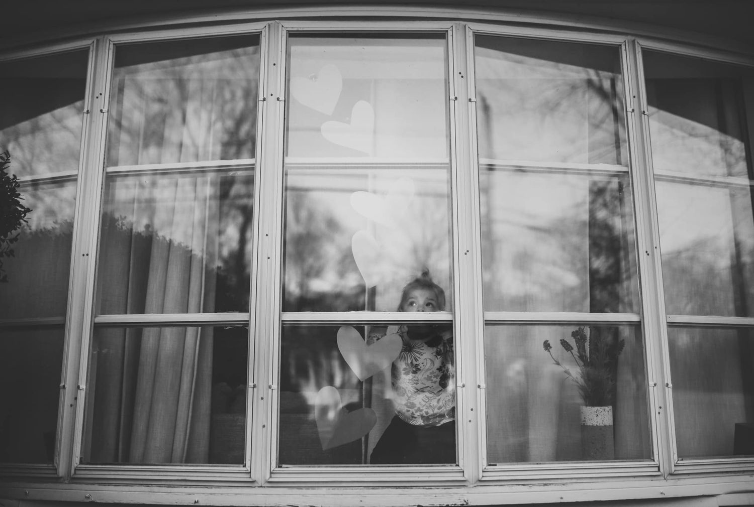 Row of curved bay windows with reflections in black and white photography.