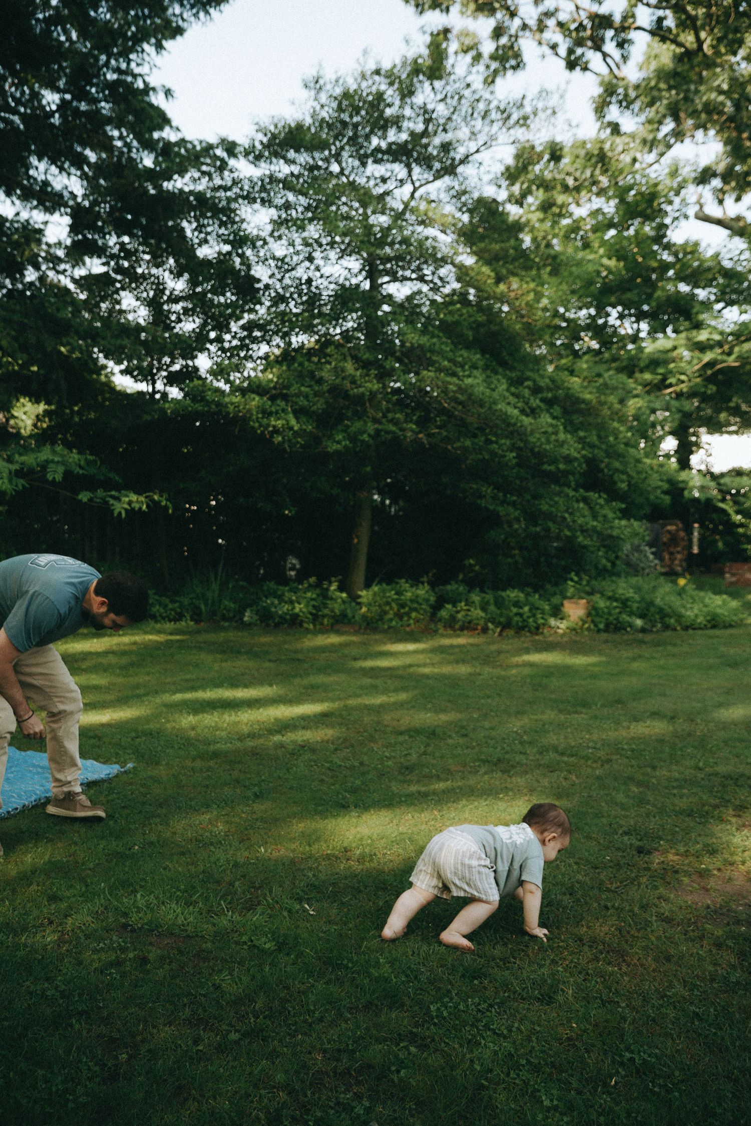 Sequence of playful moments in a grassy backyard with trees.