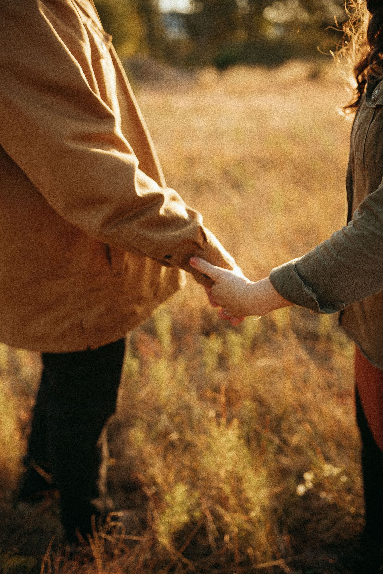 Couple holding hands in a sunlit autumn field, wearing warm jackets in golden fall colors.