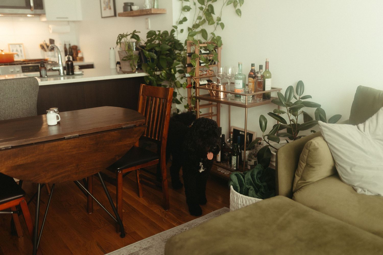 Cozy apartment living room with green sofa, wooden dining table, chairs, houseplants, and open kitchen in background.