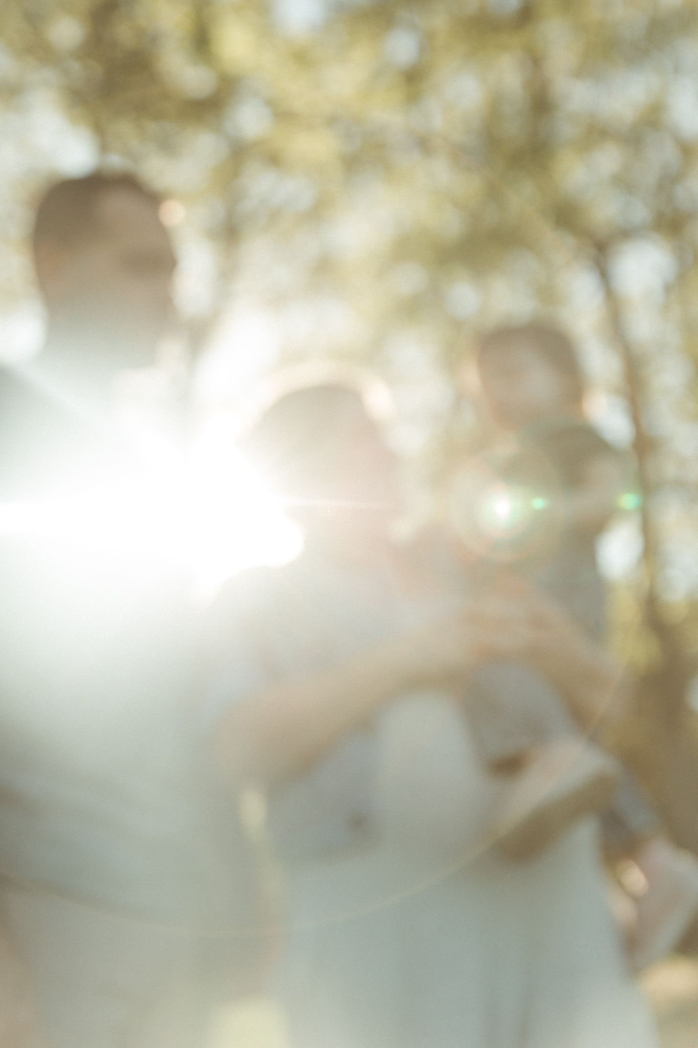 Sunlight filters through autumn trees creating a dreamy bokeh effect in nature.