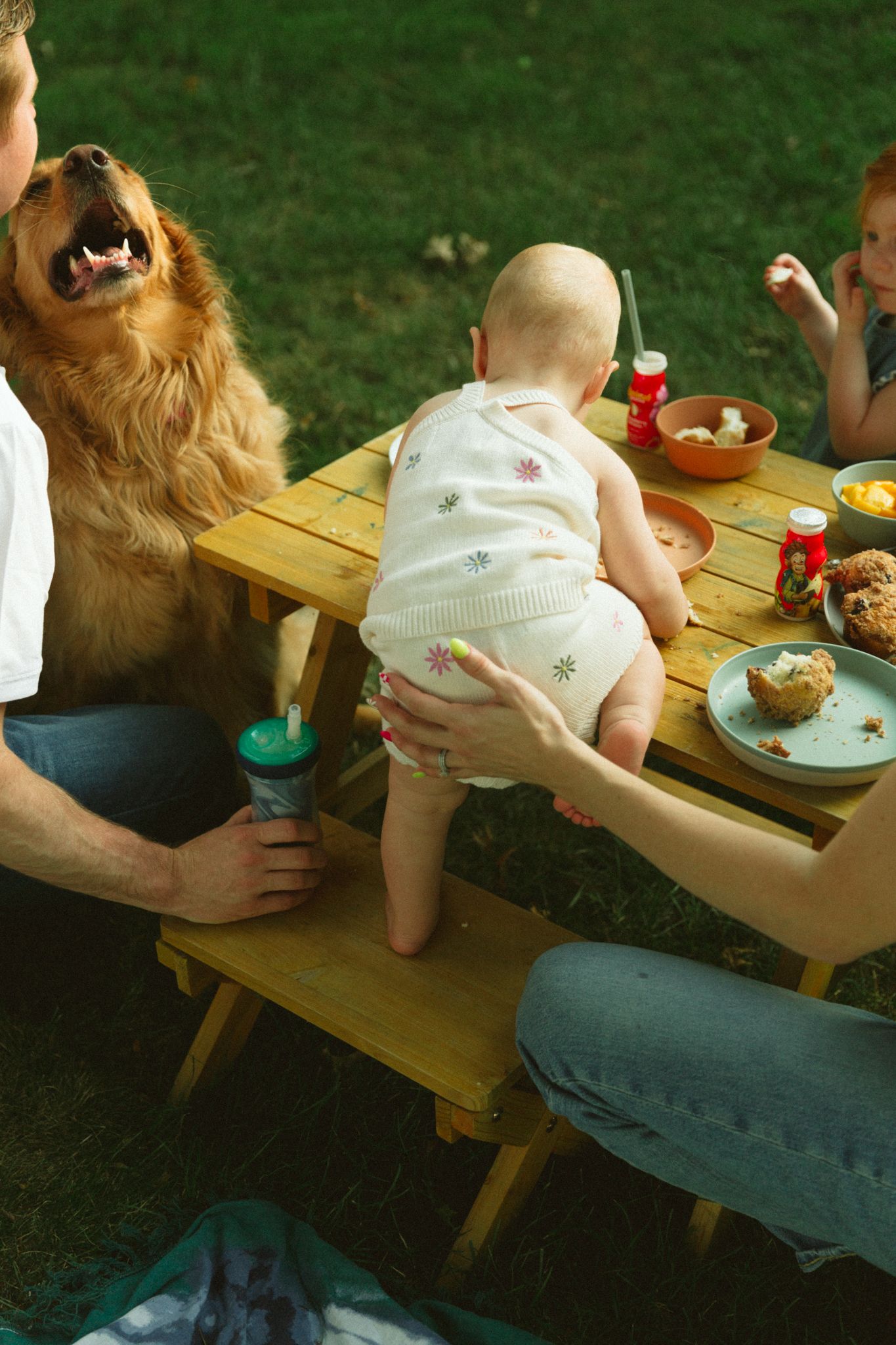 Baby standing at a wooden picnic table outdoors with a golden retriever and family during a casual backyard meal.