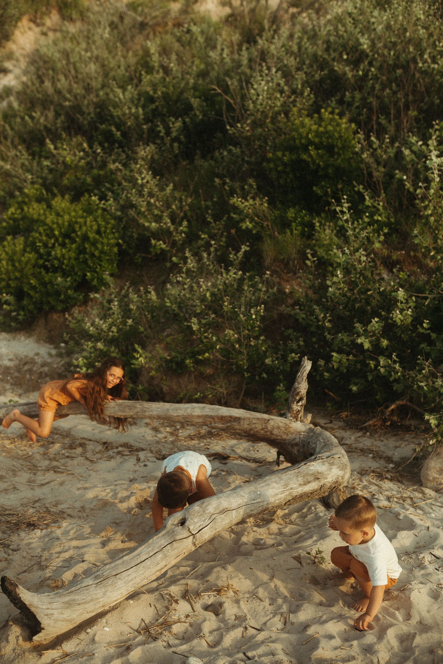 Person playing in the sand near coastal shrubs at sunset.