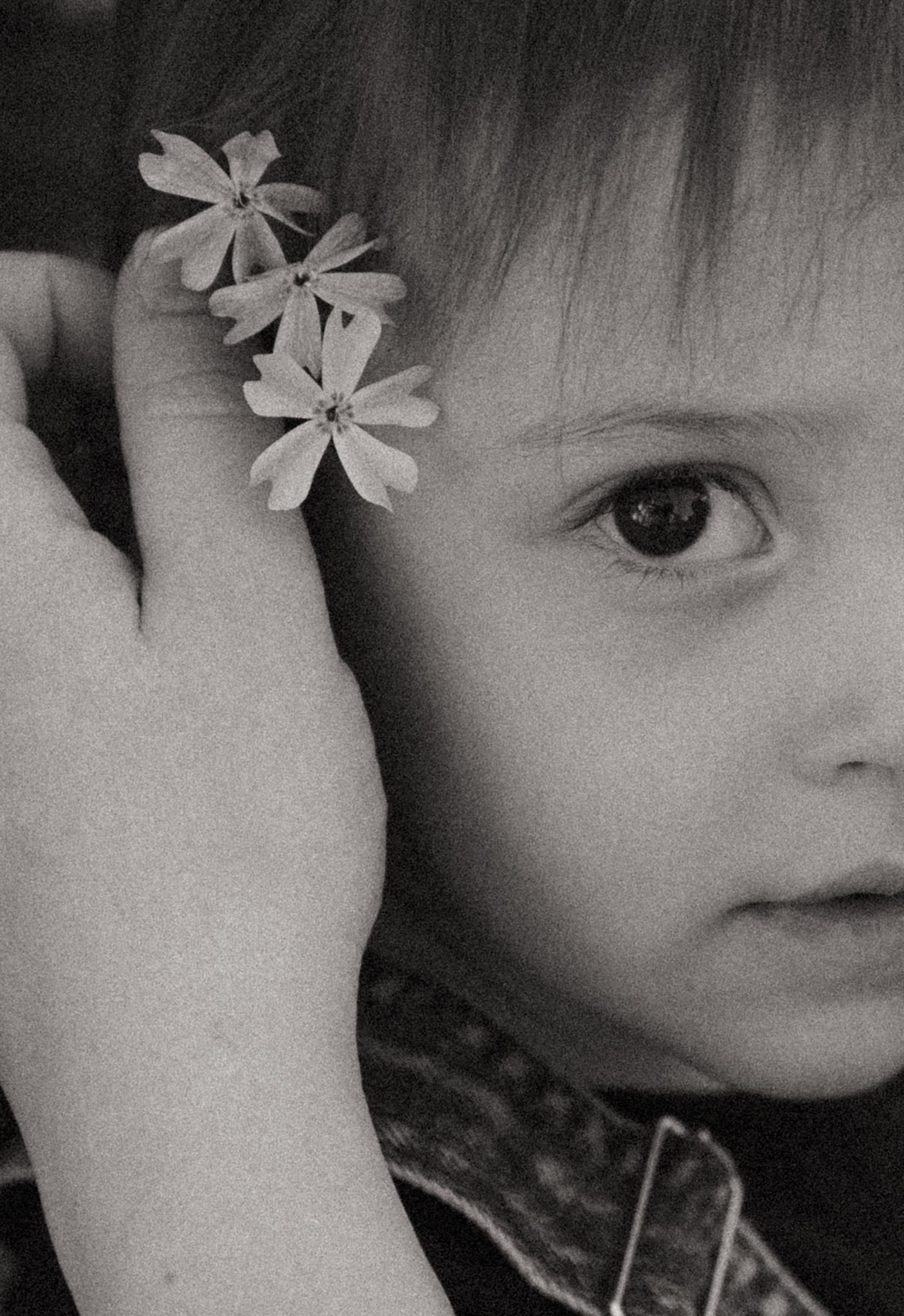 Close-up black and white portrait showing delicate white flowers in hair.