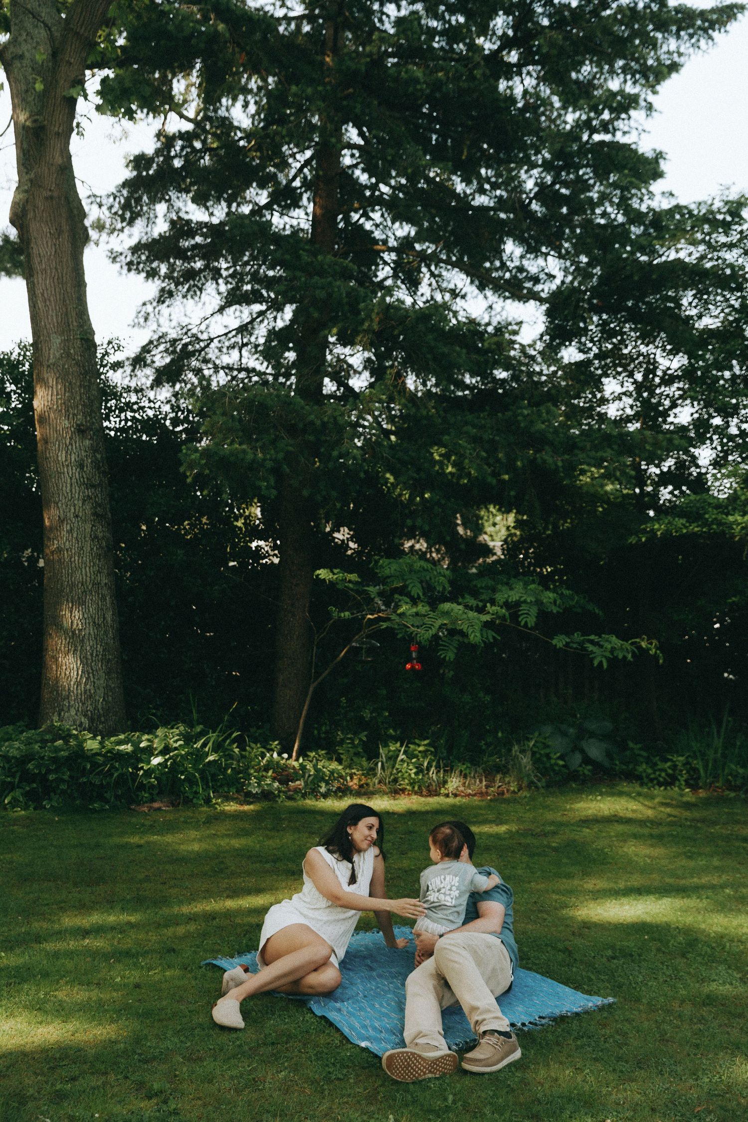 People relaxing on a blanket under trees in a sunny backyard.