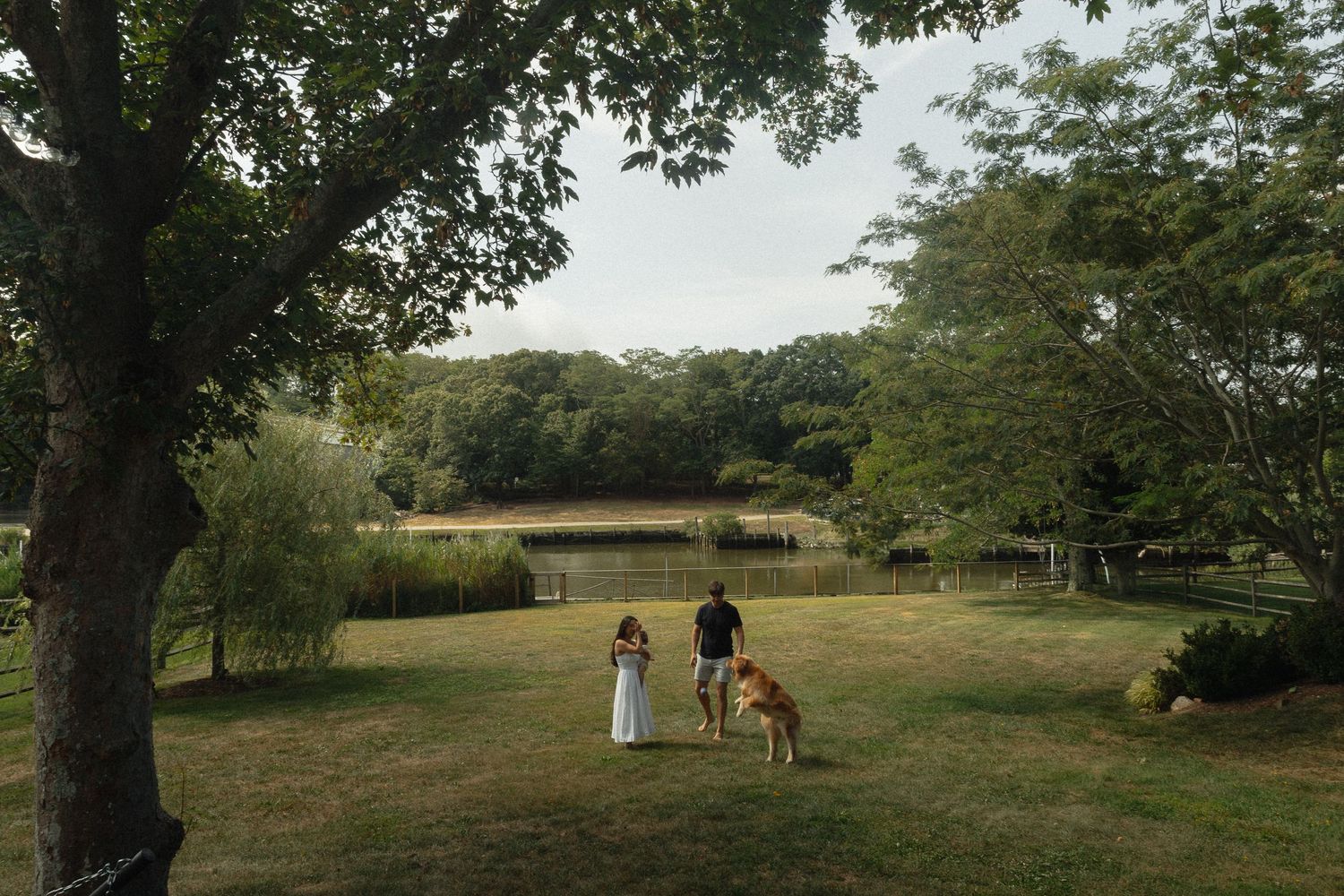 Couple in wedding attire standing with a dog on a lush green lawn beside a serene pond surrounded by trees.