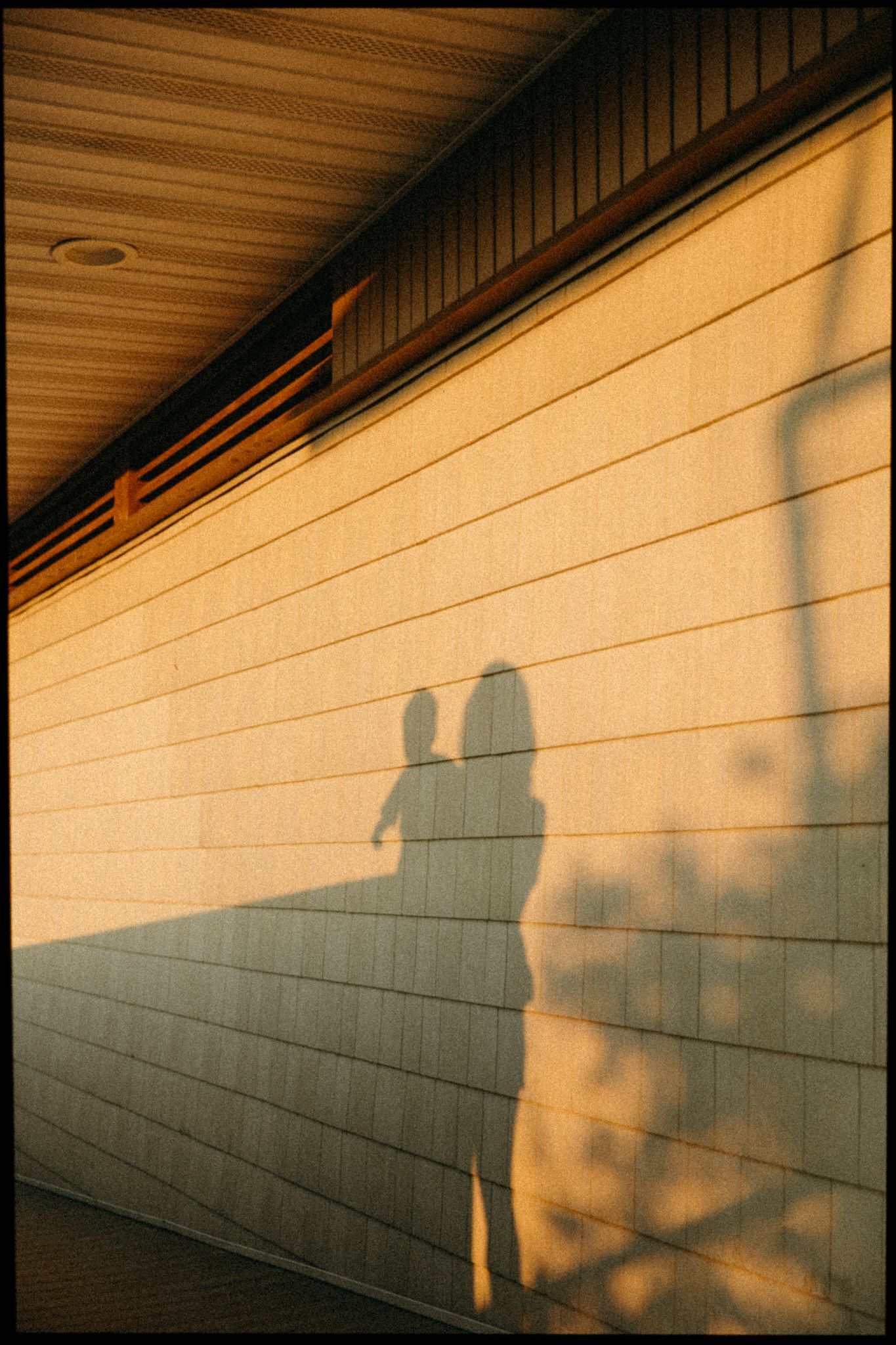 Two people's shadows cast on a sunlit building wall at golden hour, creating a romantic silhouette scene.