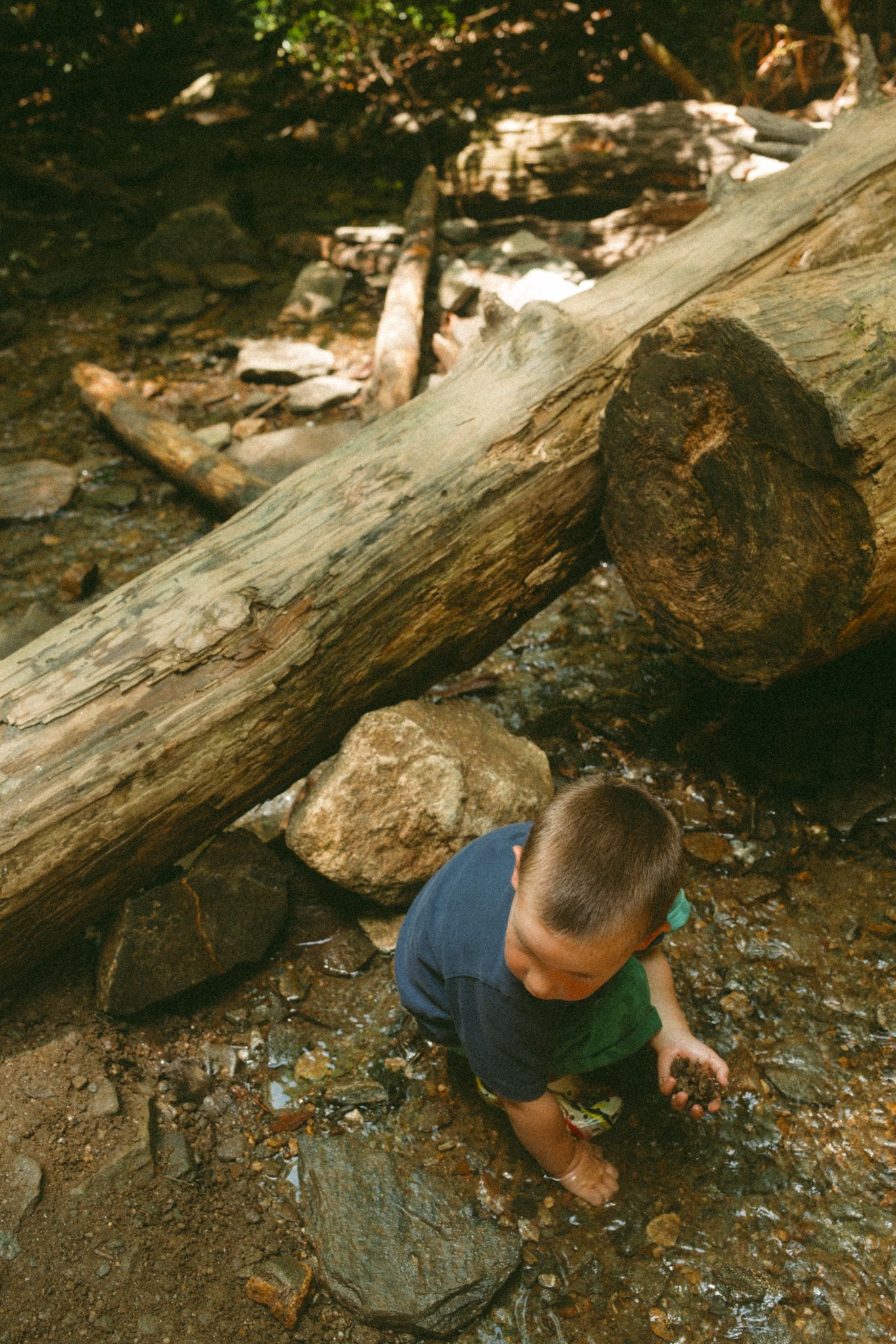 Young boy exploring rocky terrain near a large fallen log in a forest setting.